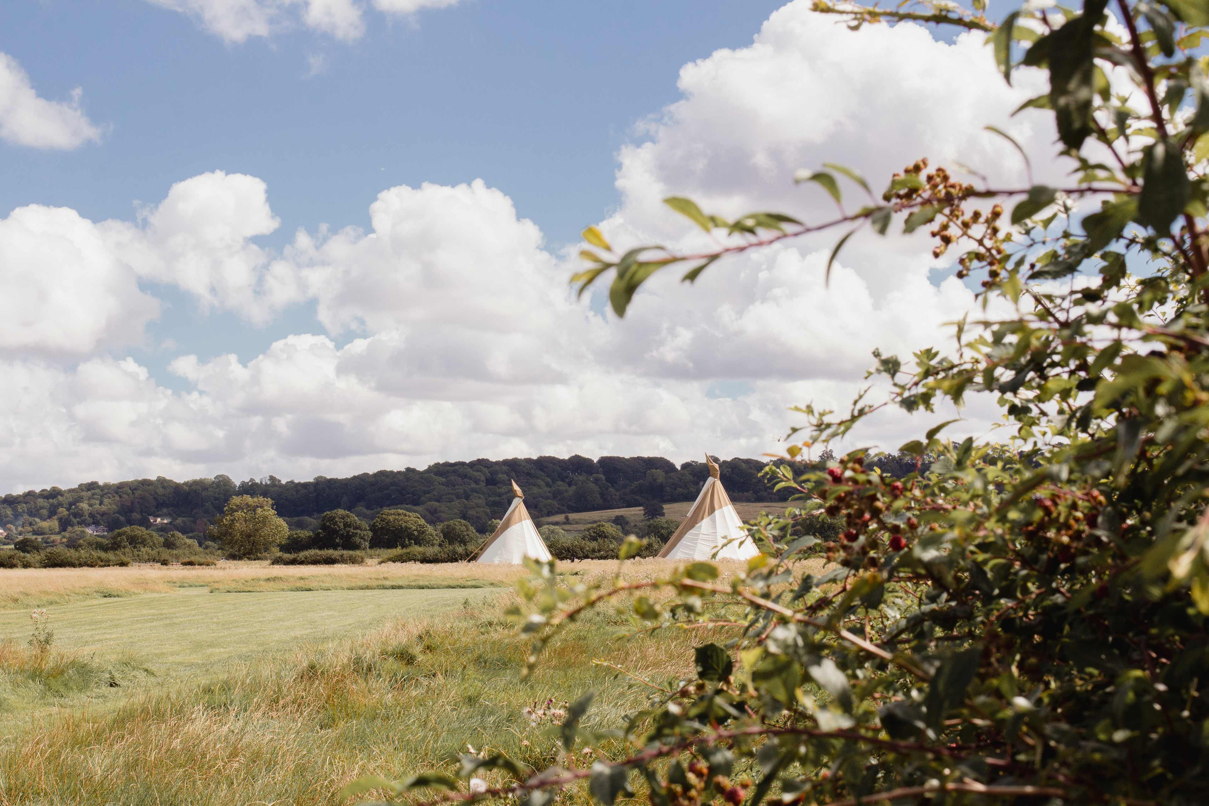 Great Cotmarsh Farm
