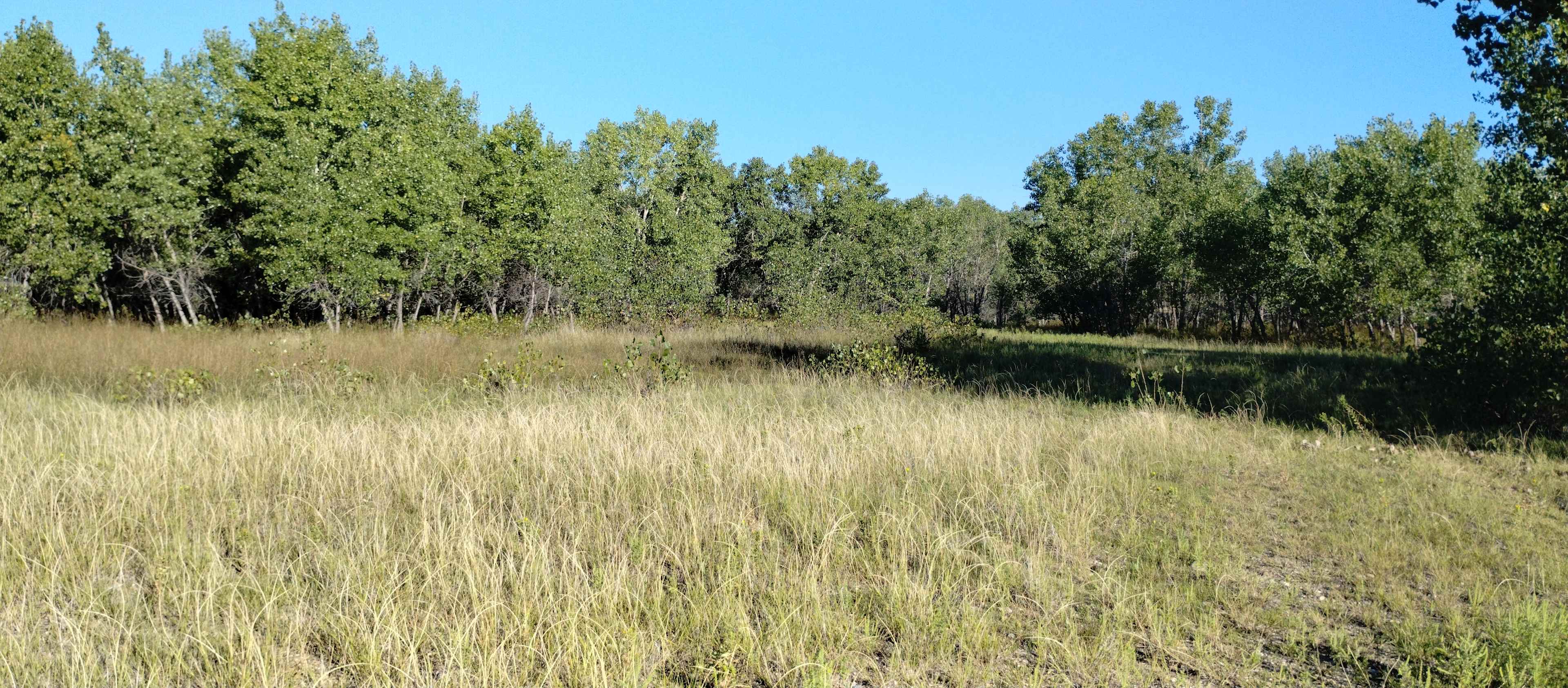 B gravel pit.