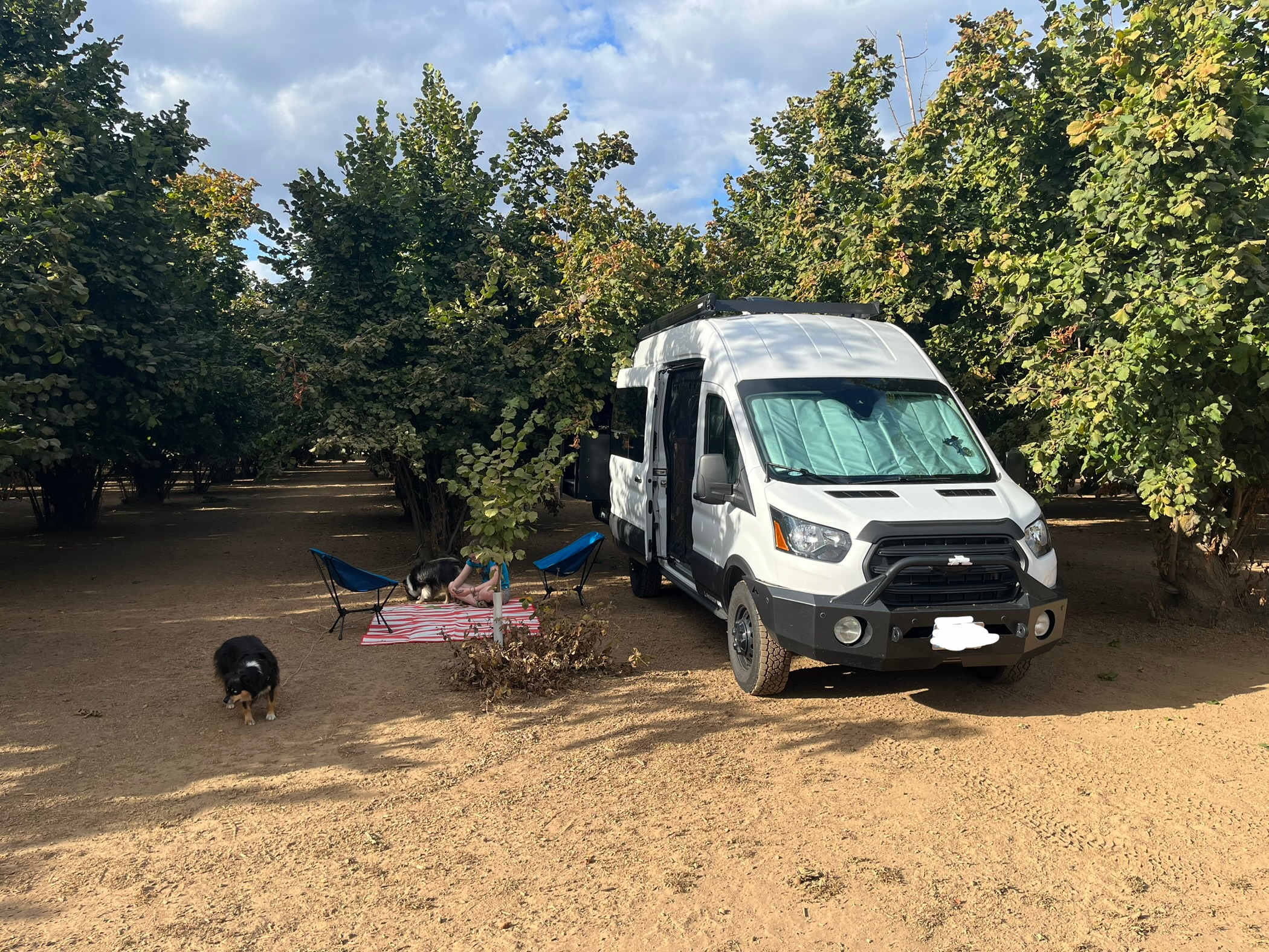 Tranquil Orchards and Wine Tours