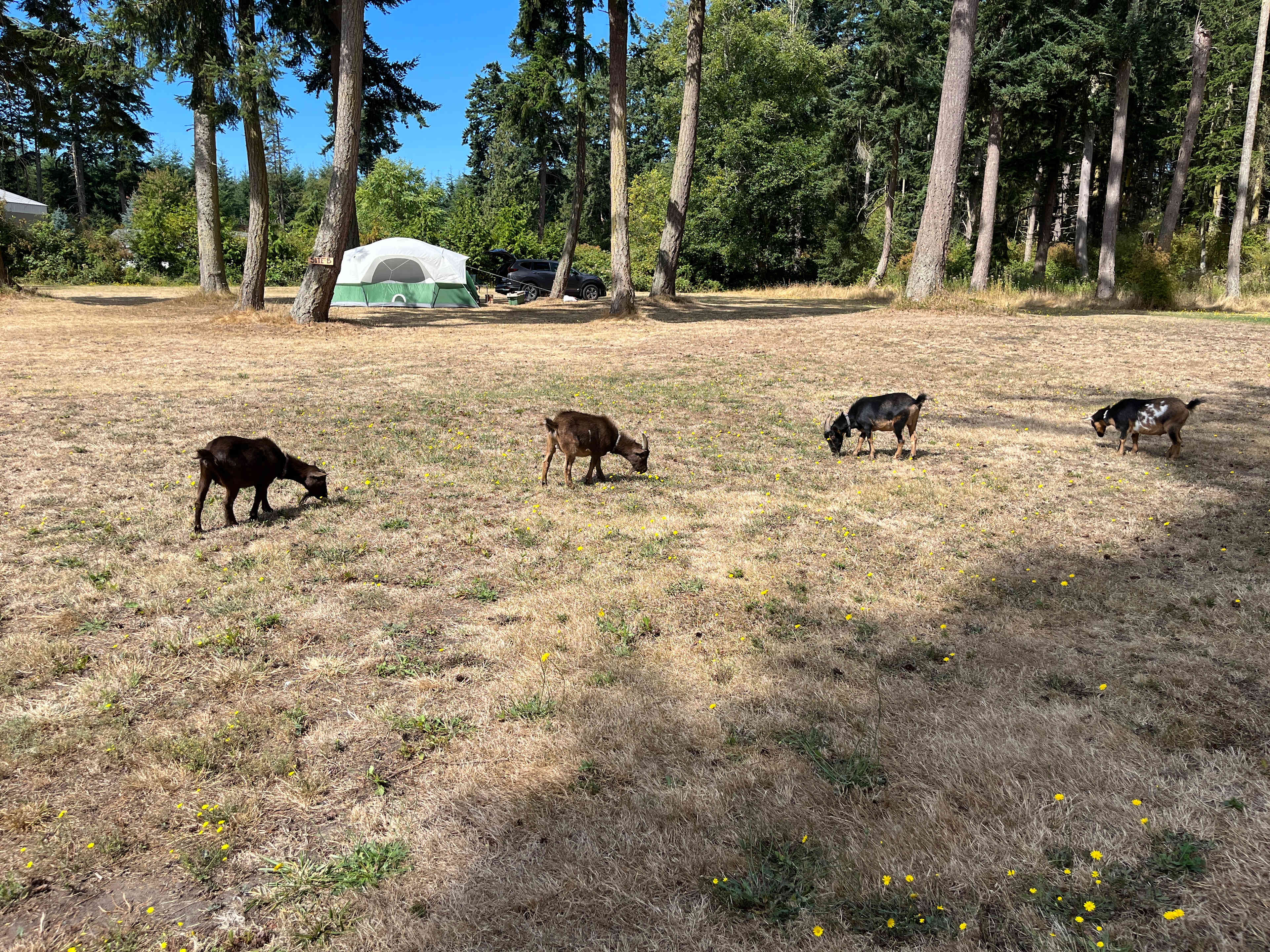 Full Circle Farm