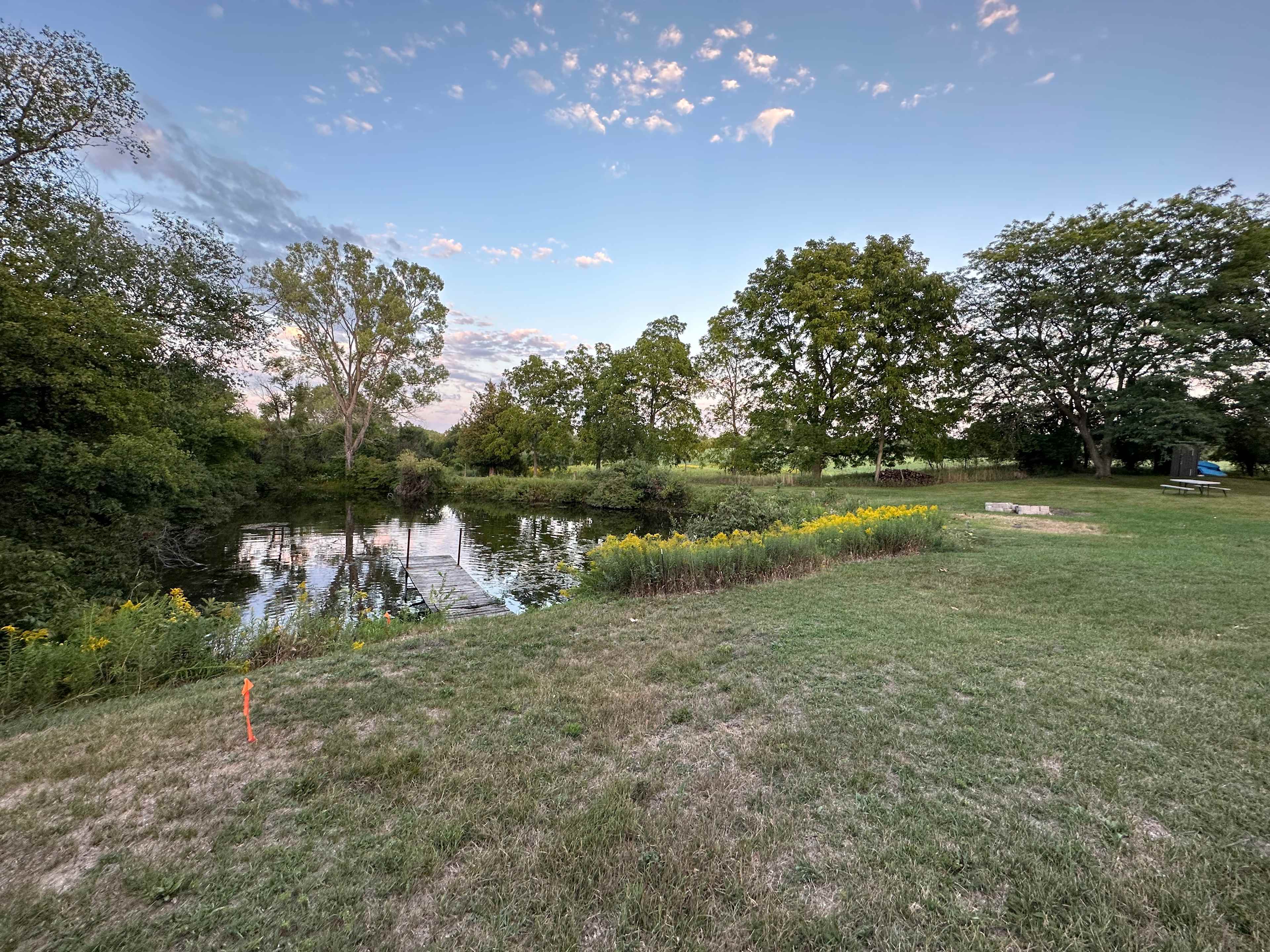 Picture of the site