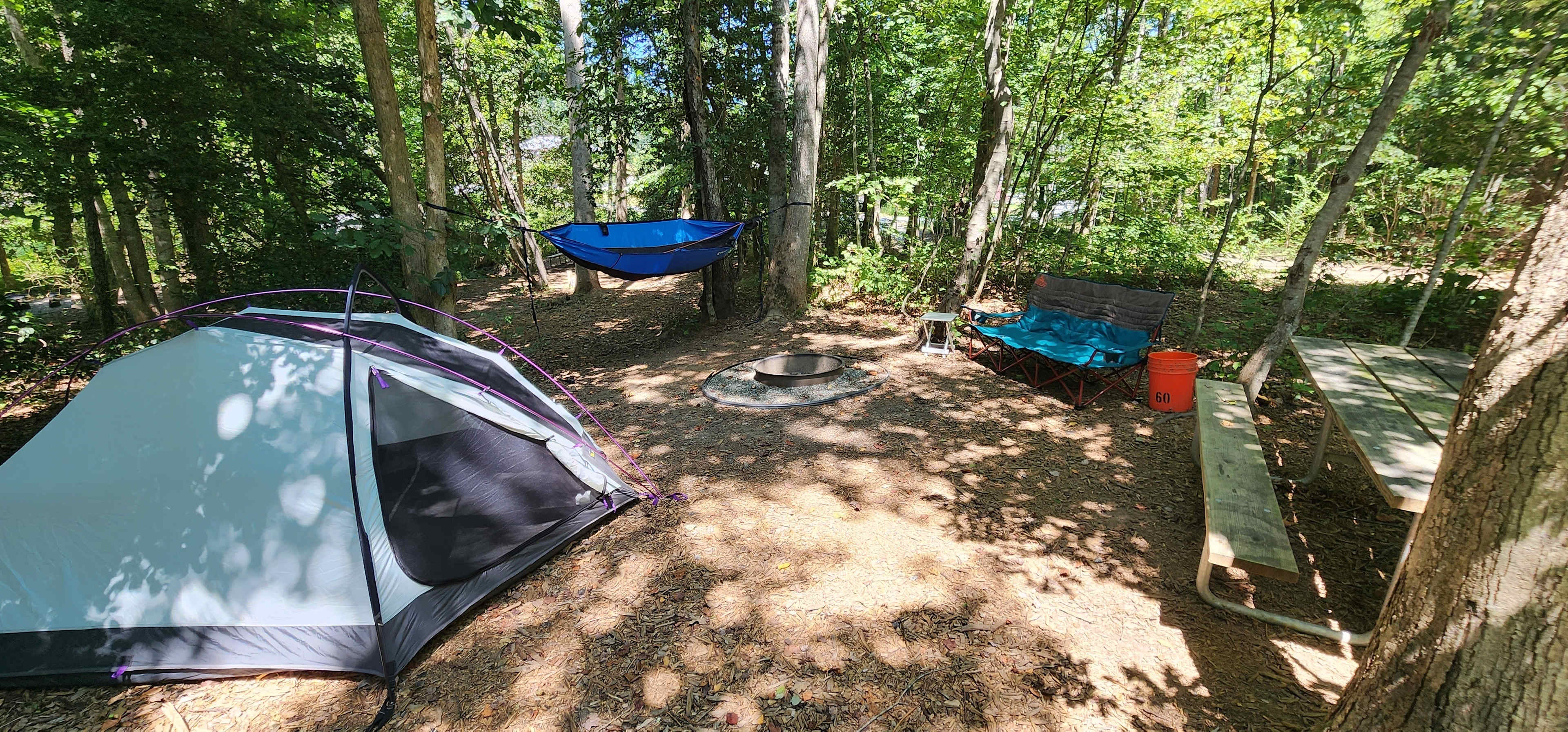Picture of the site