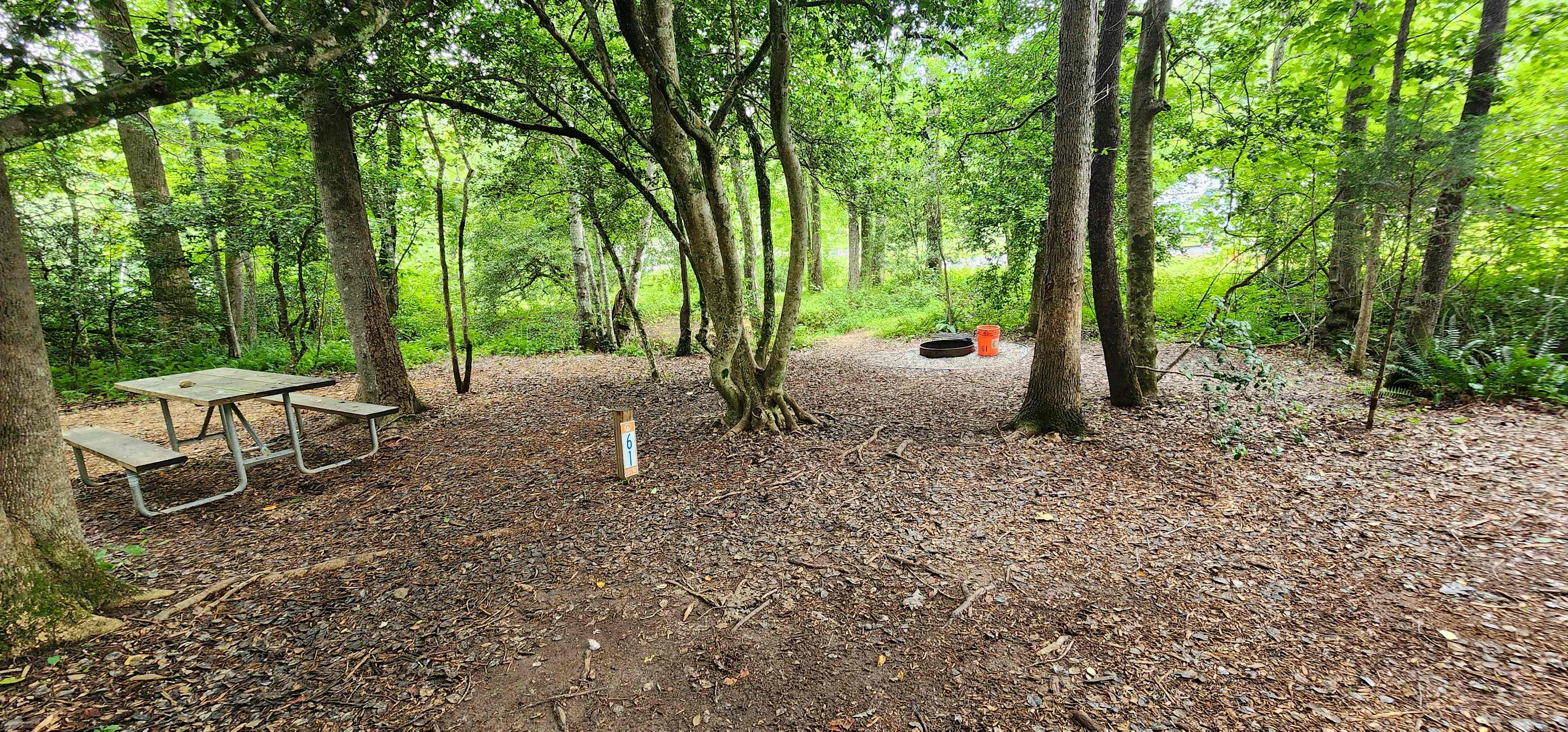 Picture of the site