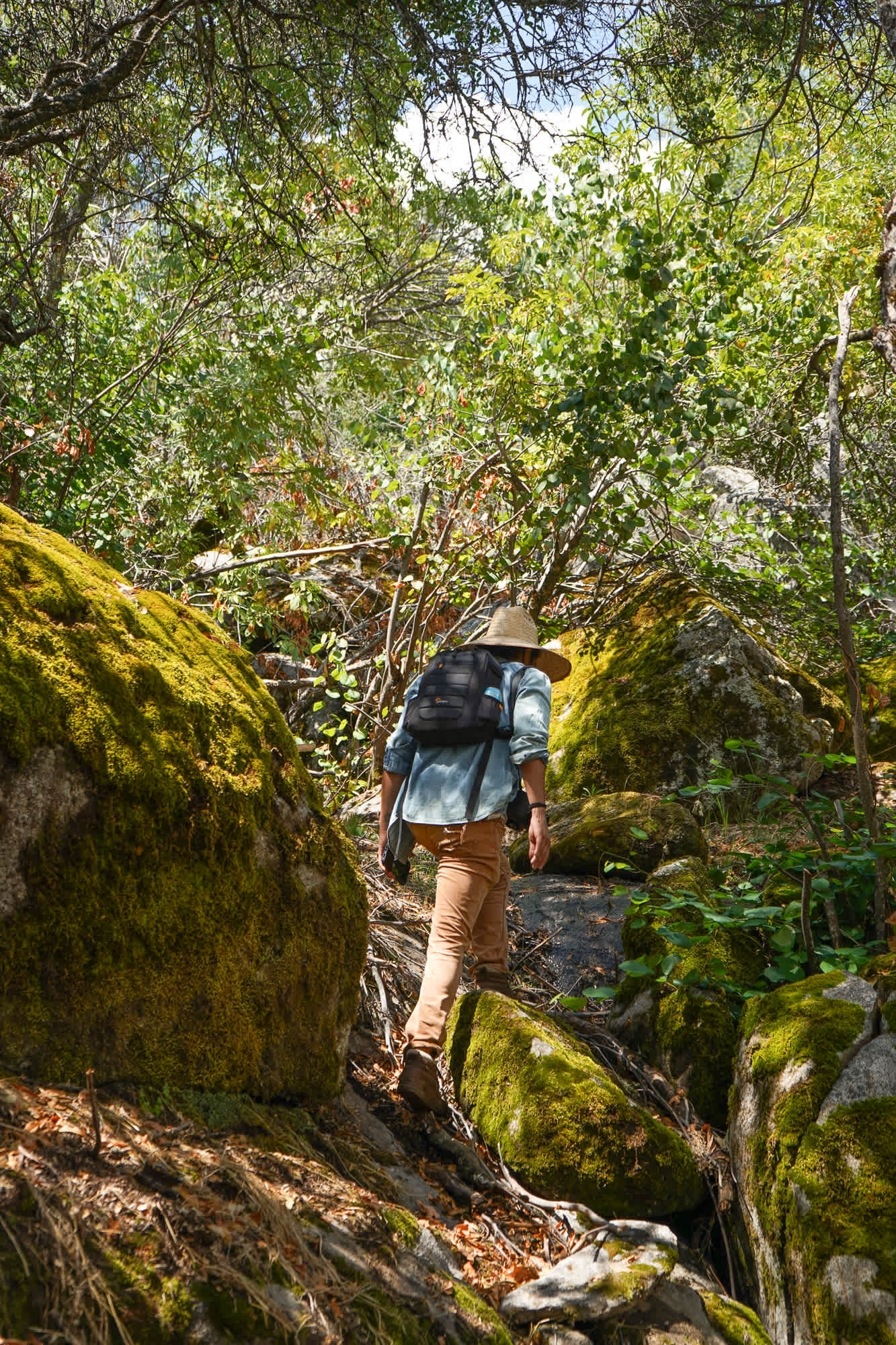 Hiking up the Dry Creek Trail