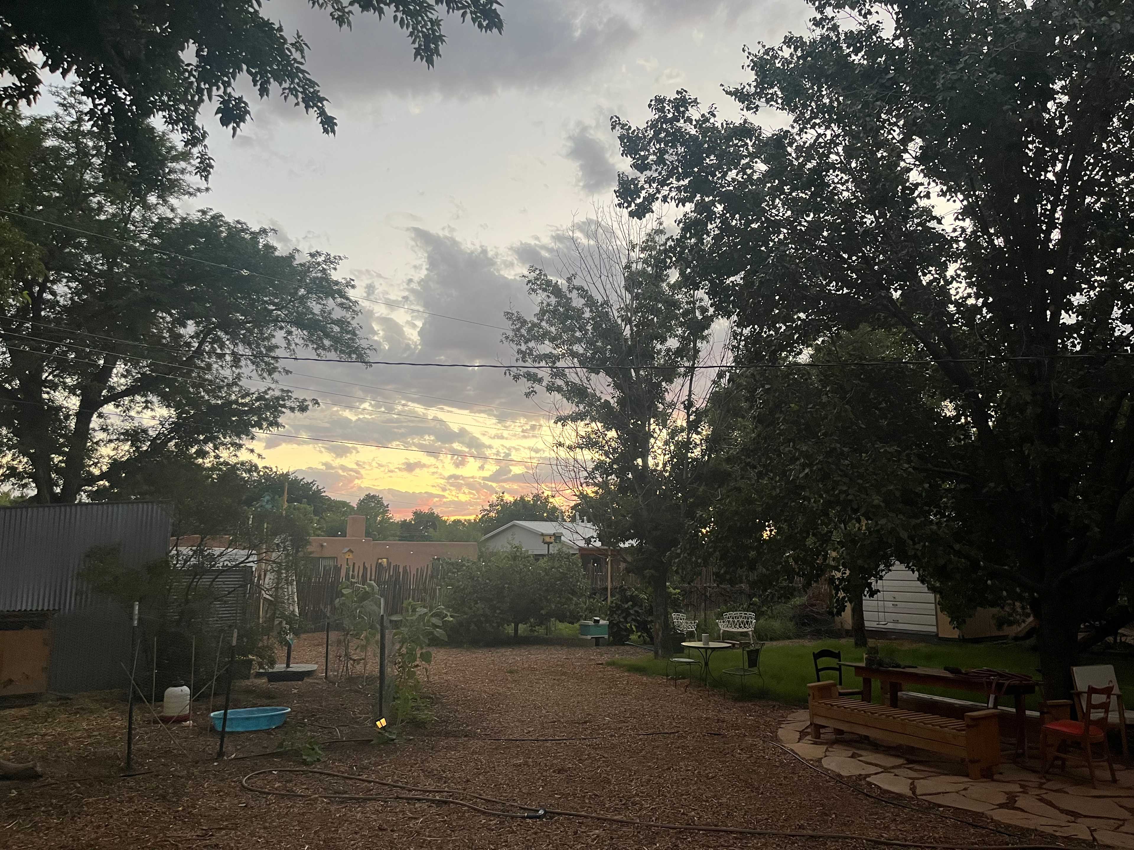 Casa de Cass - City Oasis