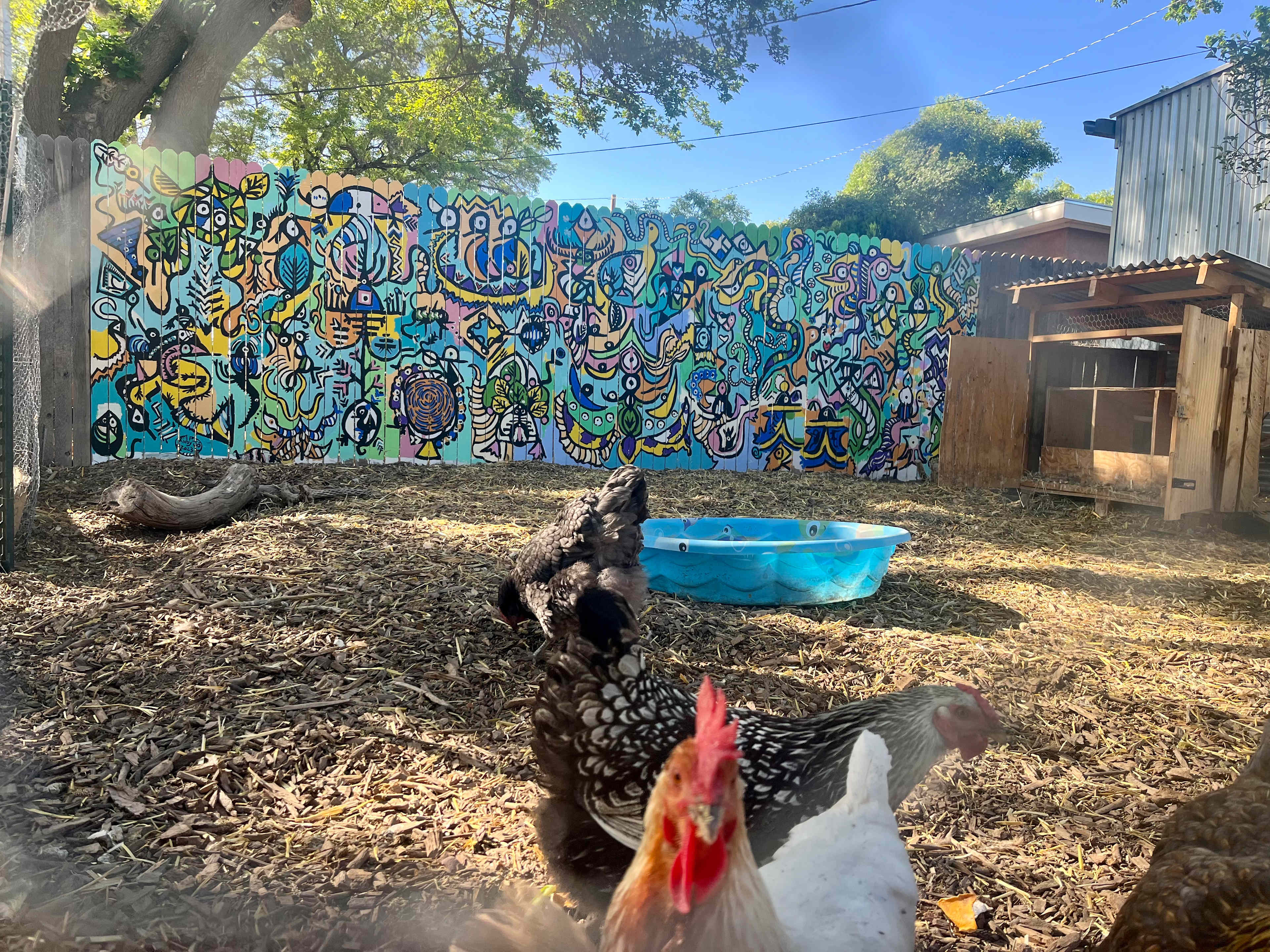 Casa de Cass - City Oasis