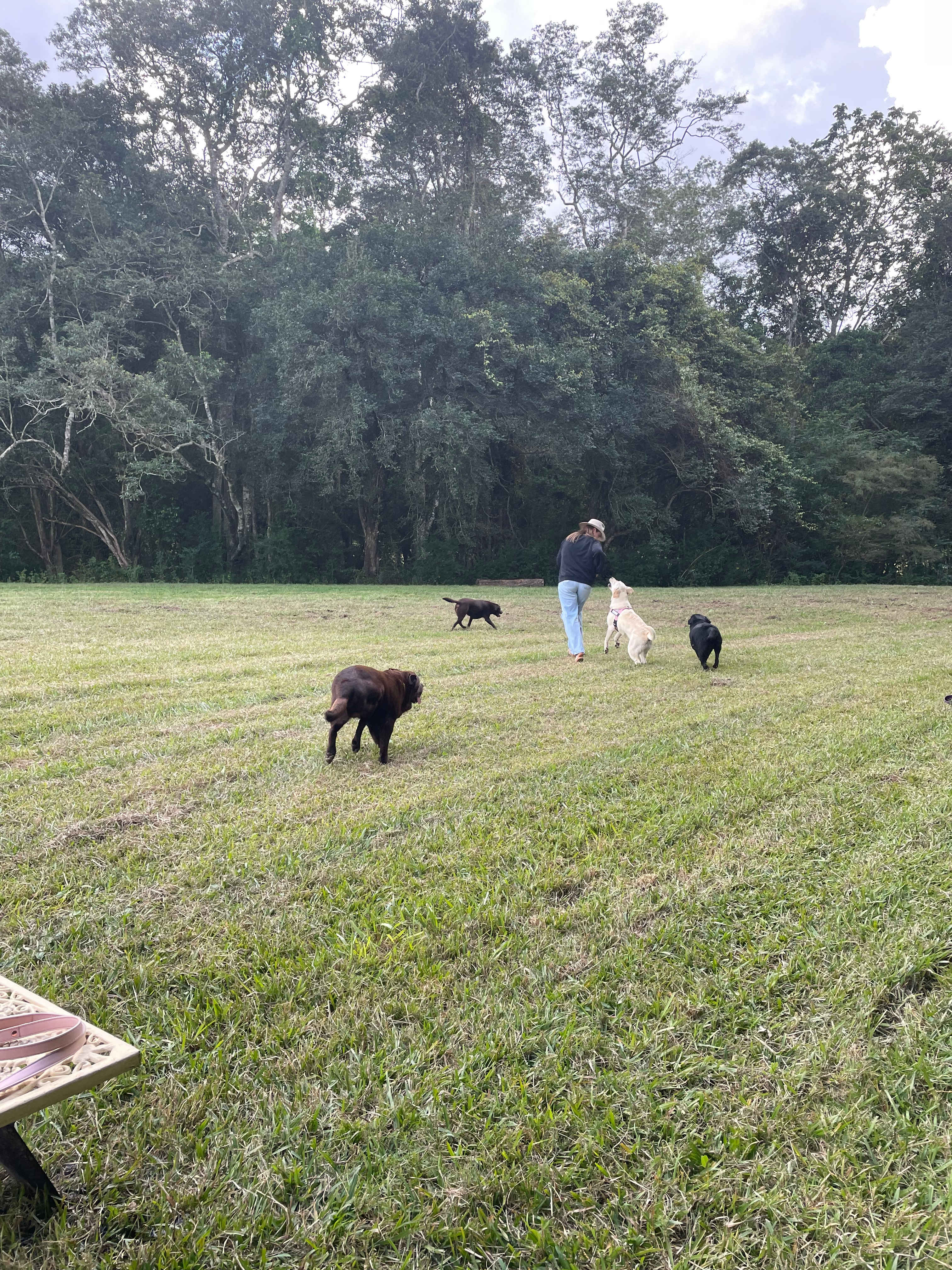 Tucker’s rest