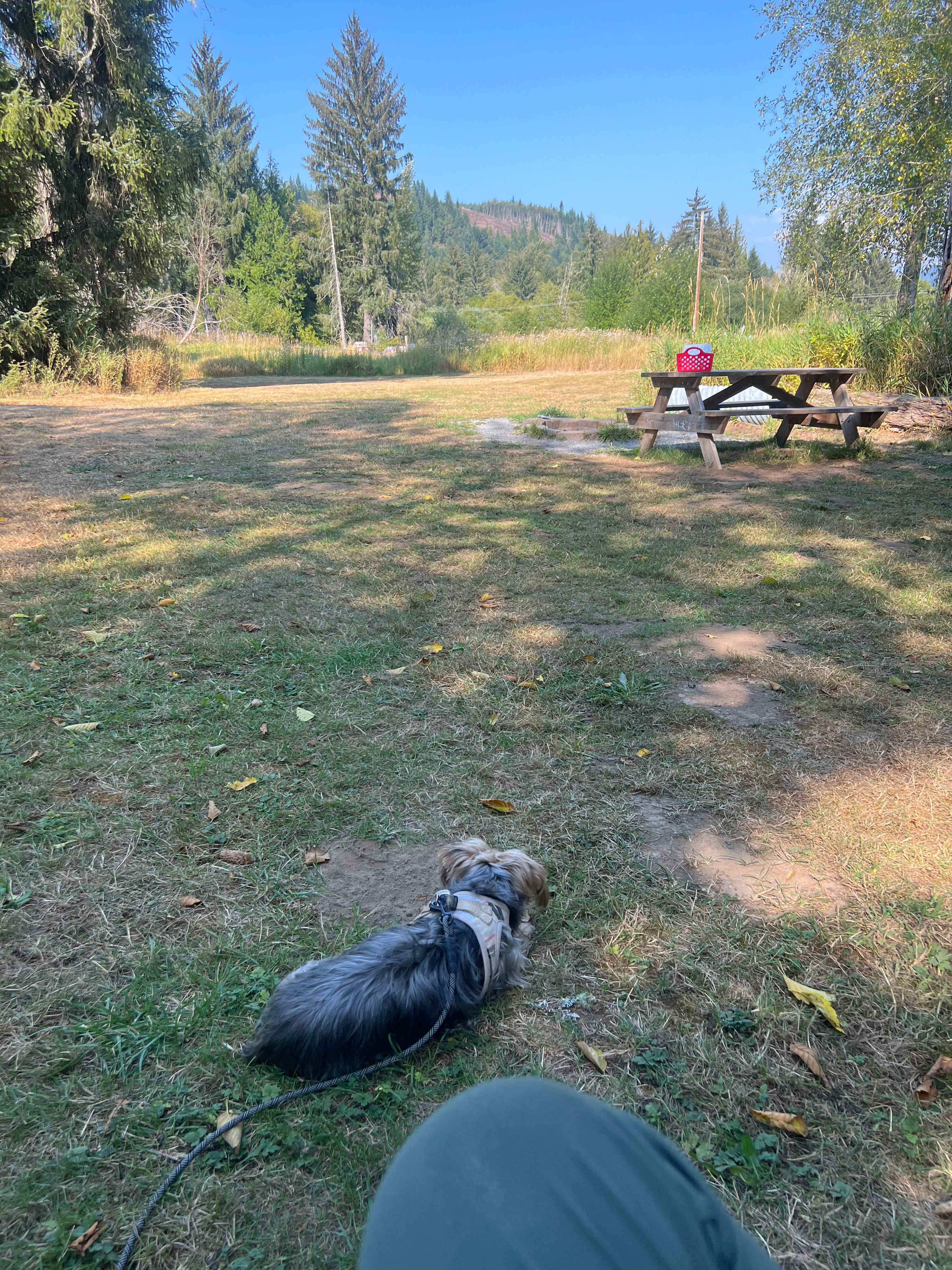 Misty Meadows Adventures Mt.Rainier