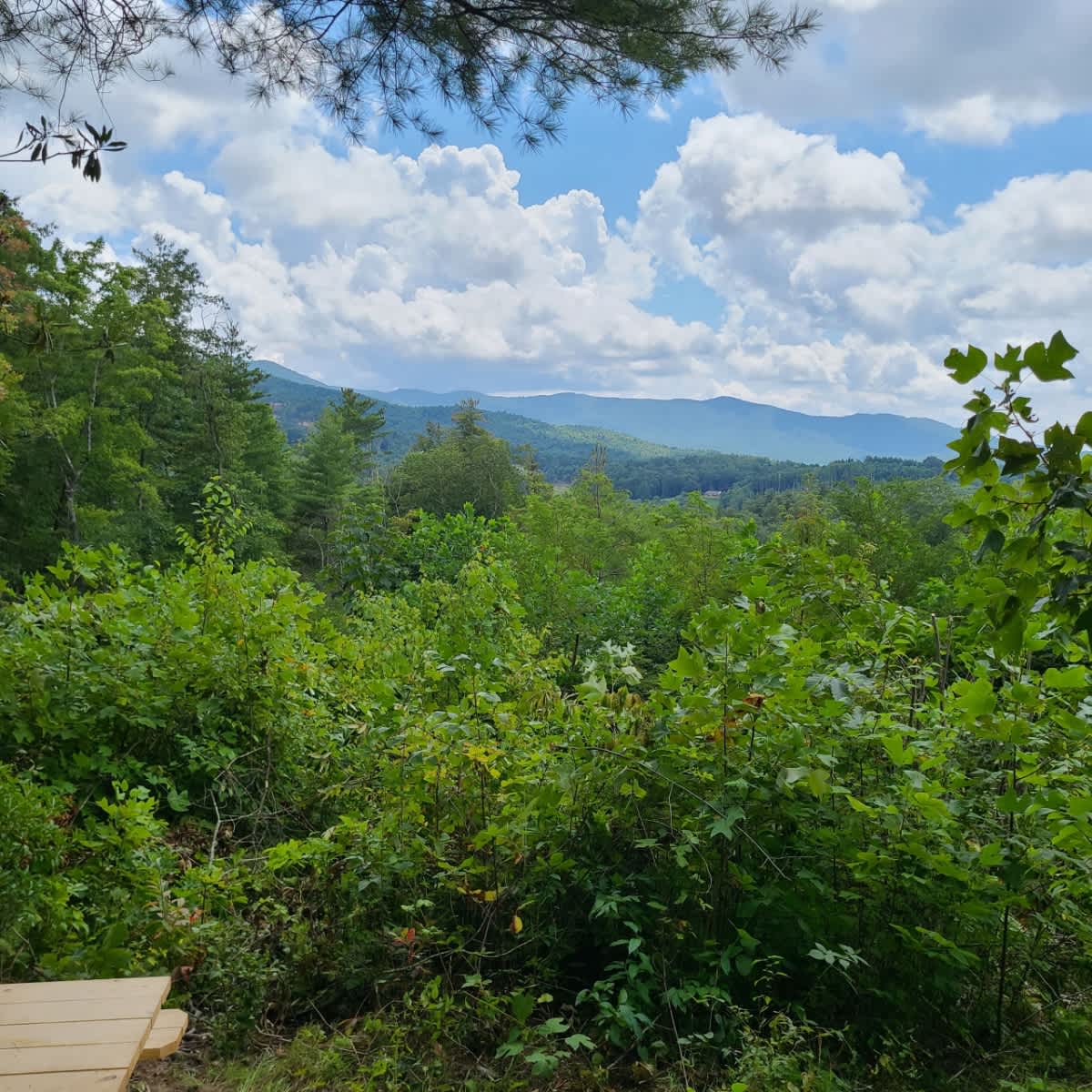 Could sit and stare at this view all day