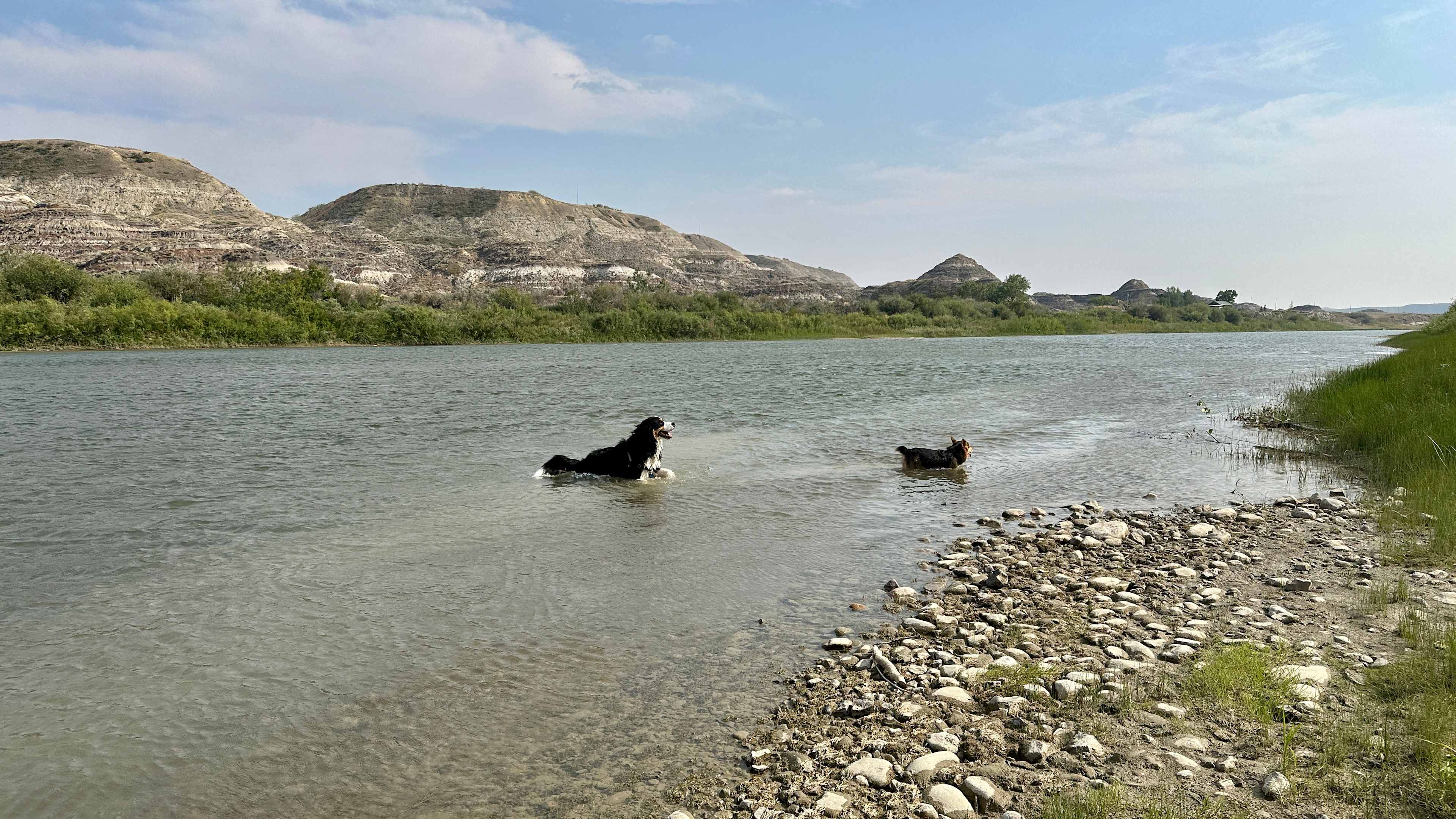 Badlands River View (Drumheller Valley)