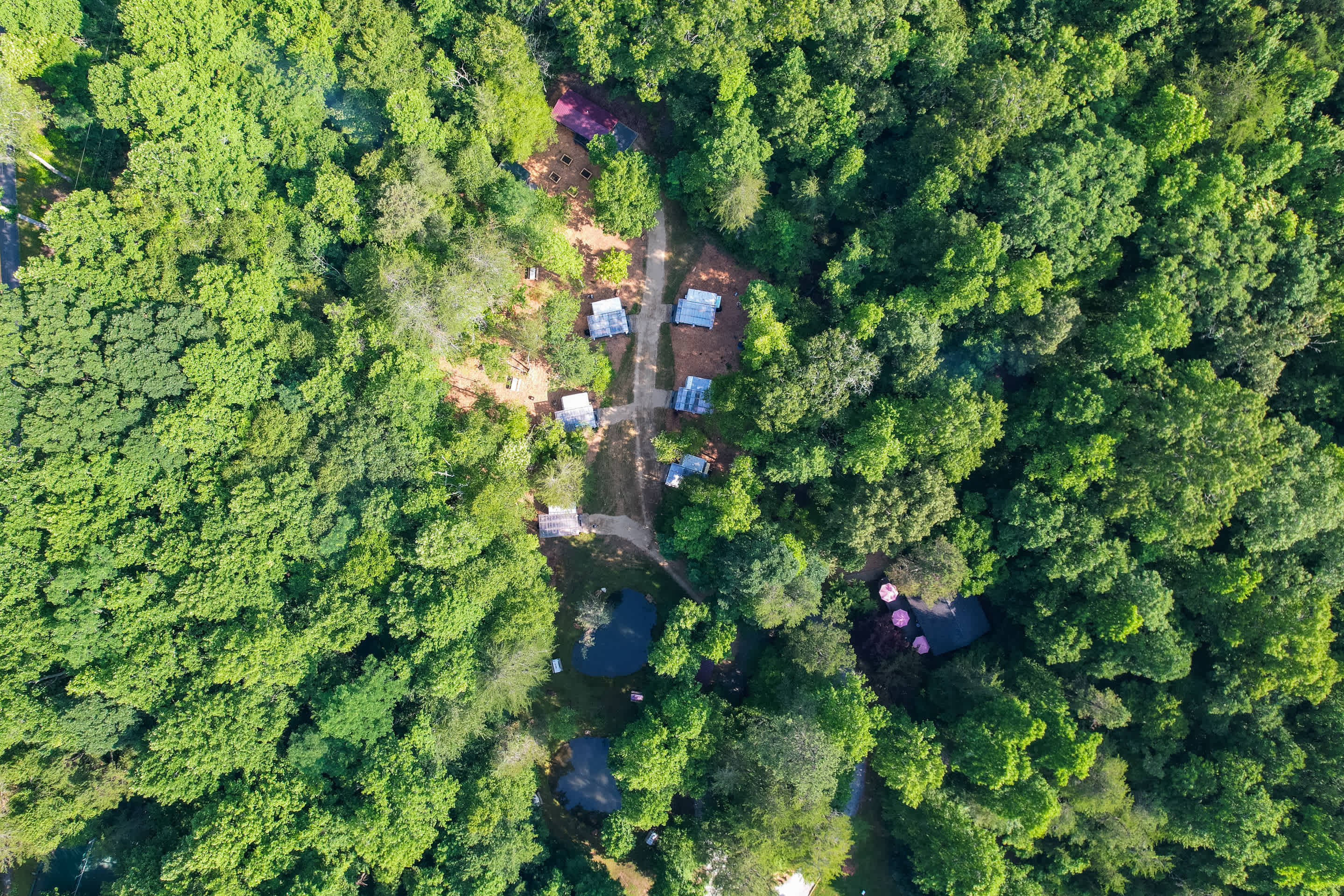 Southern Belles Glamping