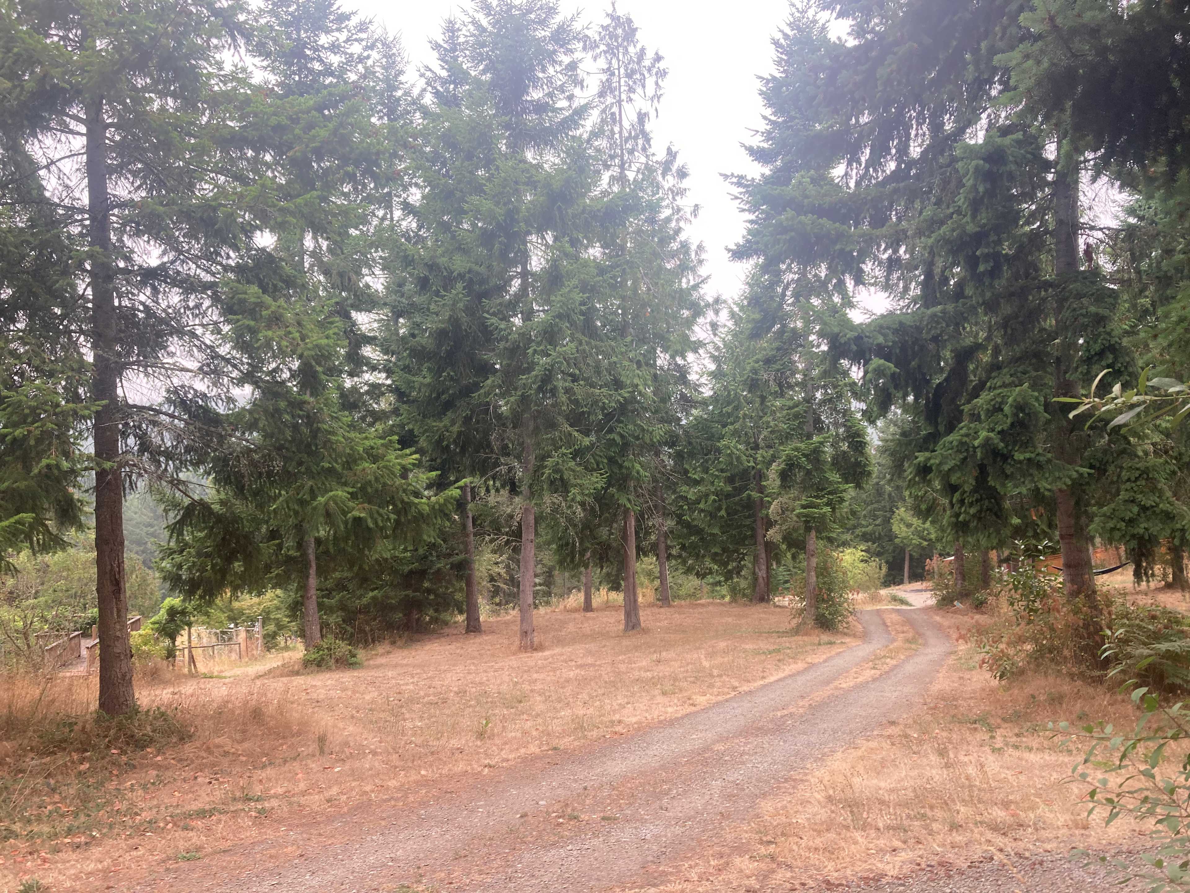 Solstice Ridge Retreat
