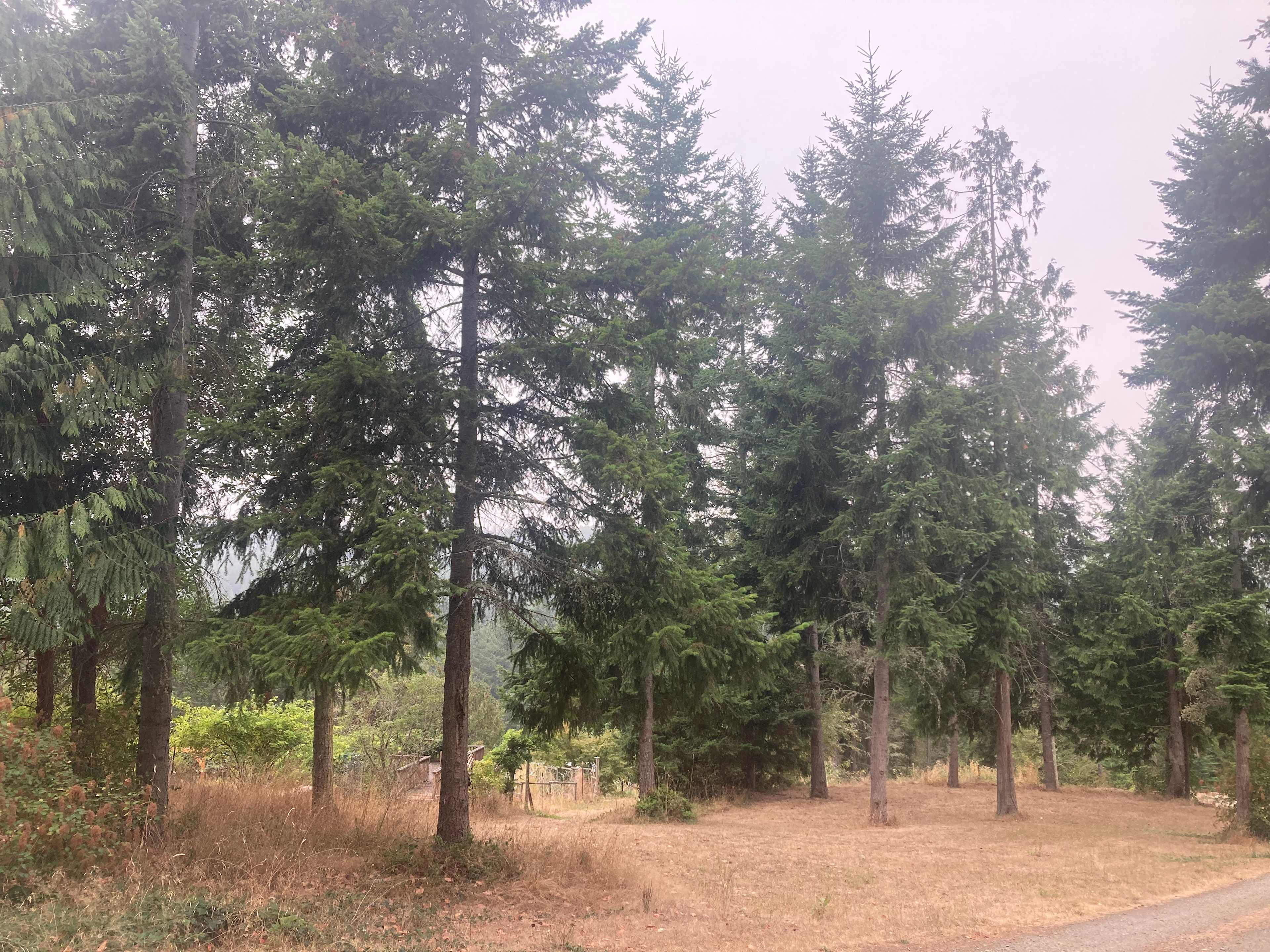 Solstice Ridge Retreat