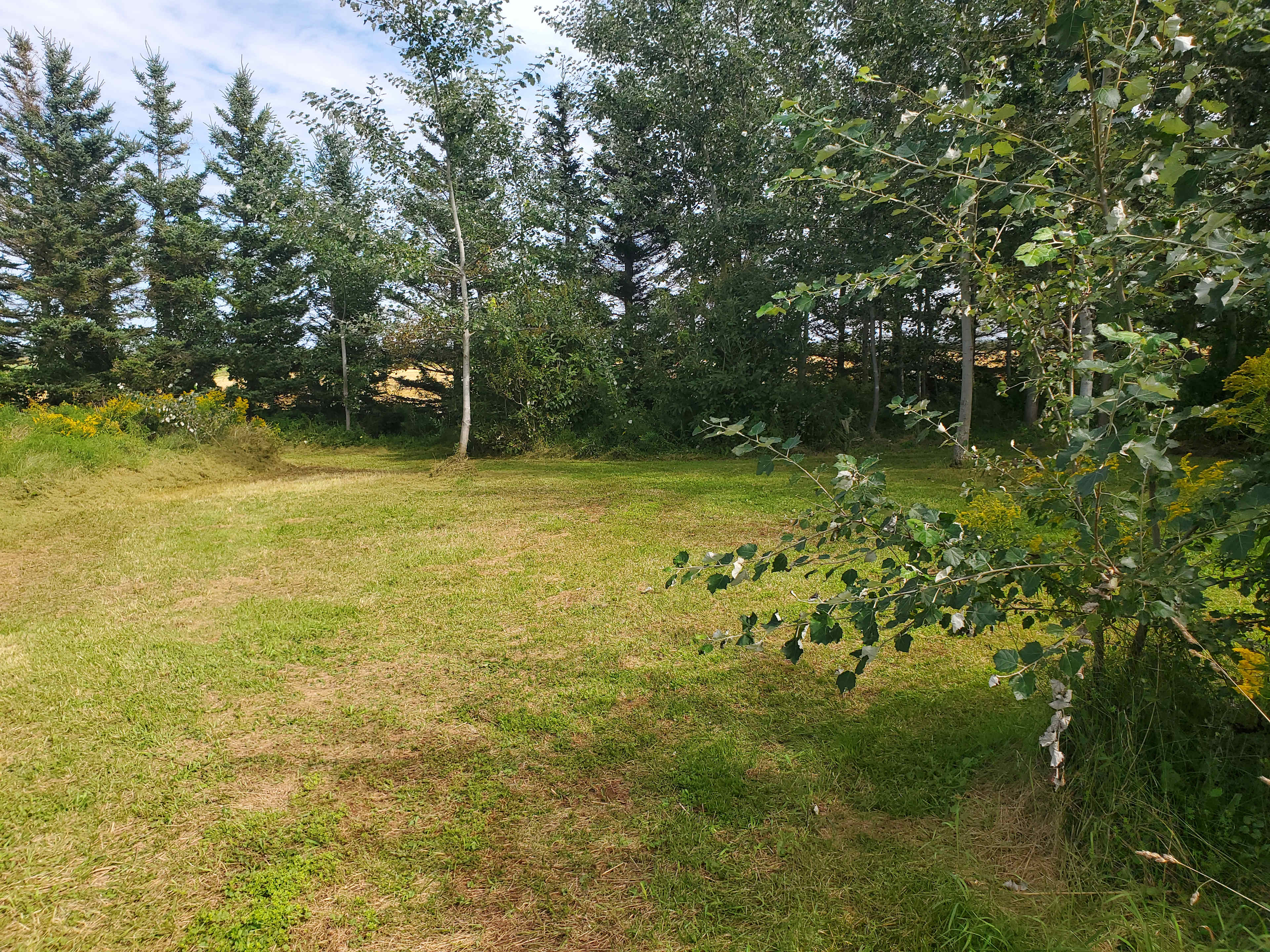 Regulars Homestead