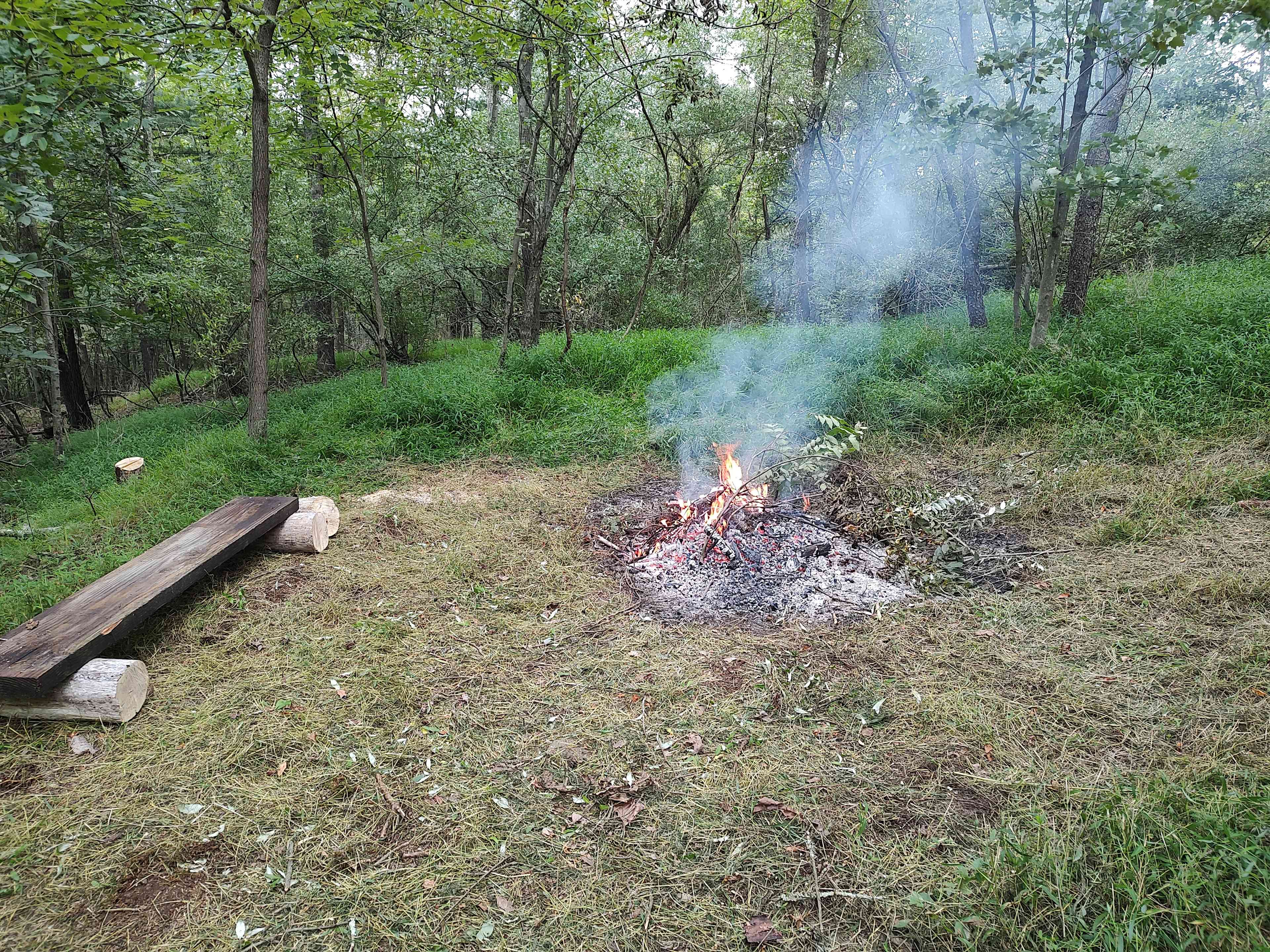 Picture of the site