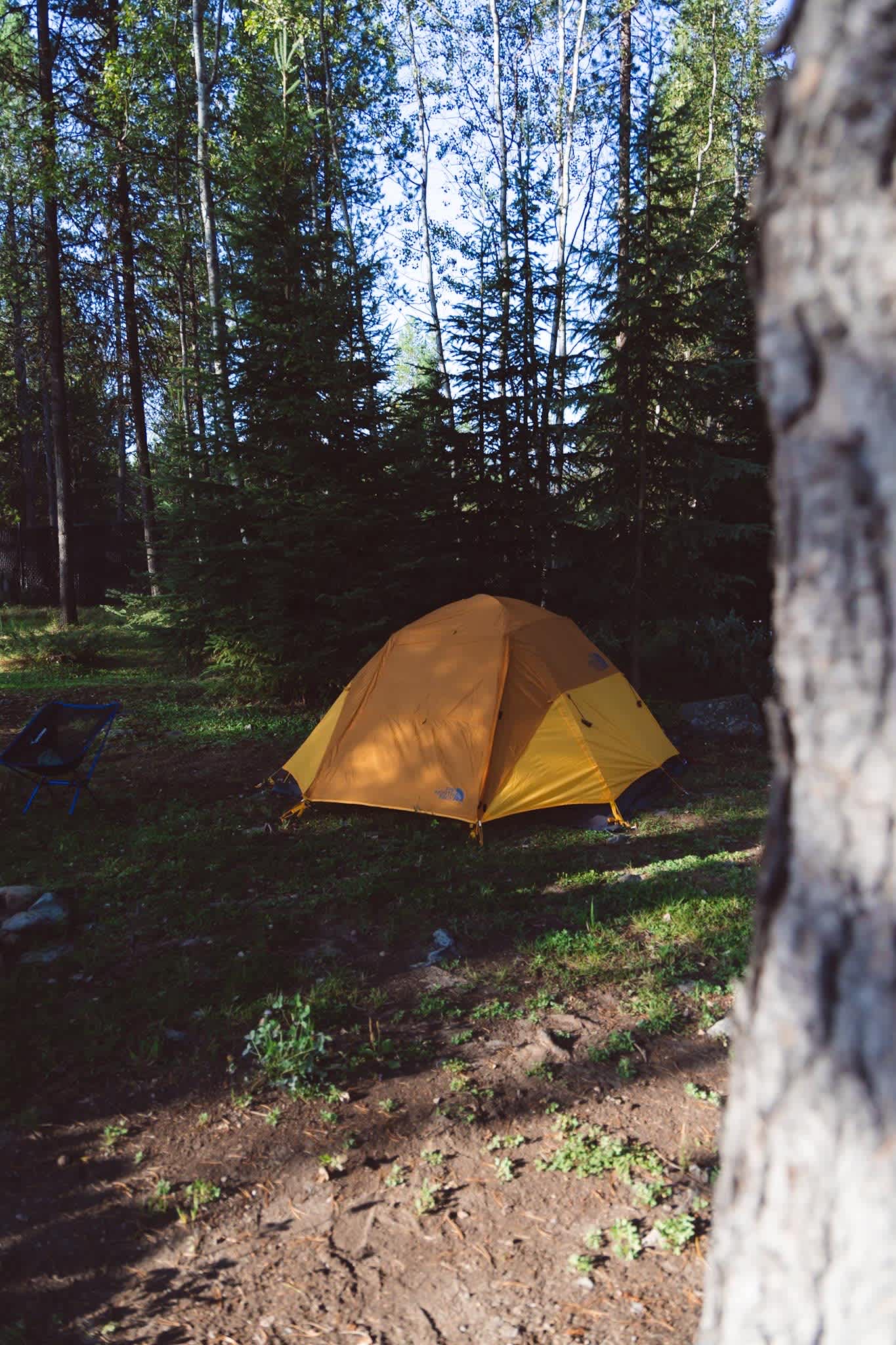 Shameless Oasis Lodging and Camping
