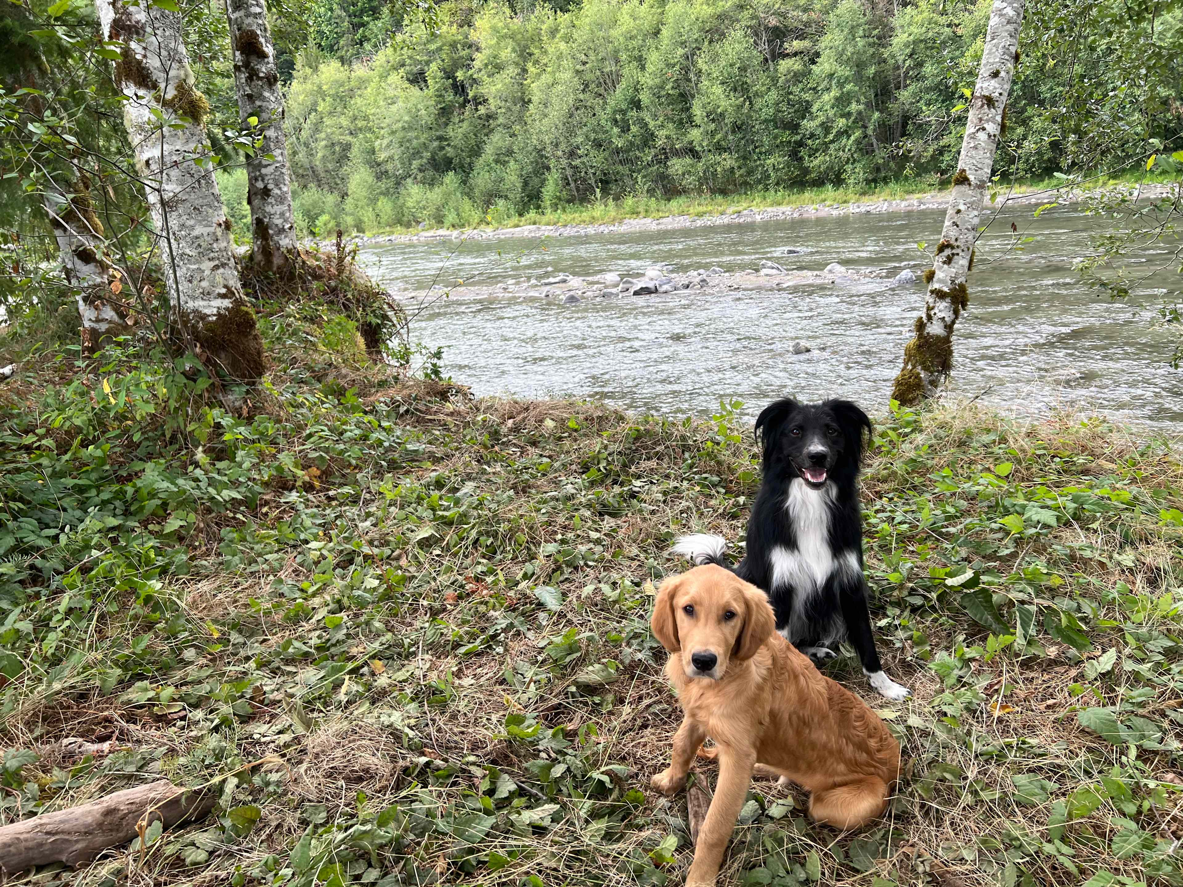 HoHo Farms - Camping @ The River
