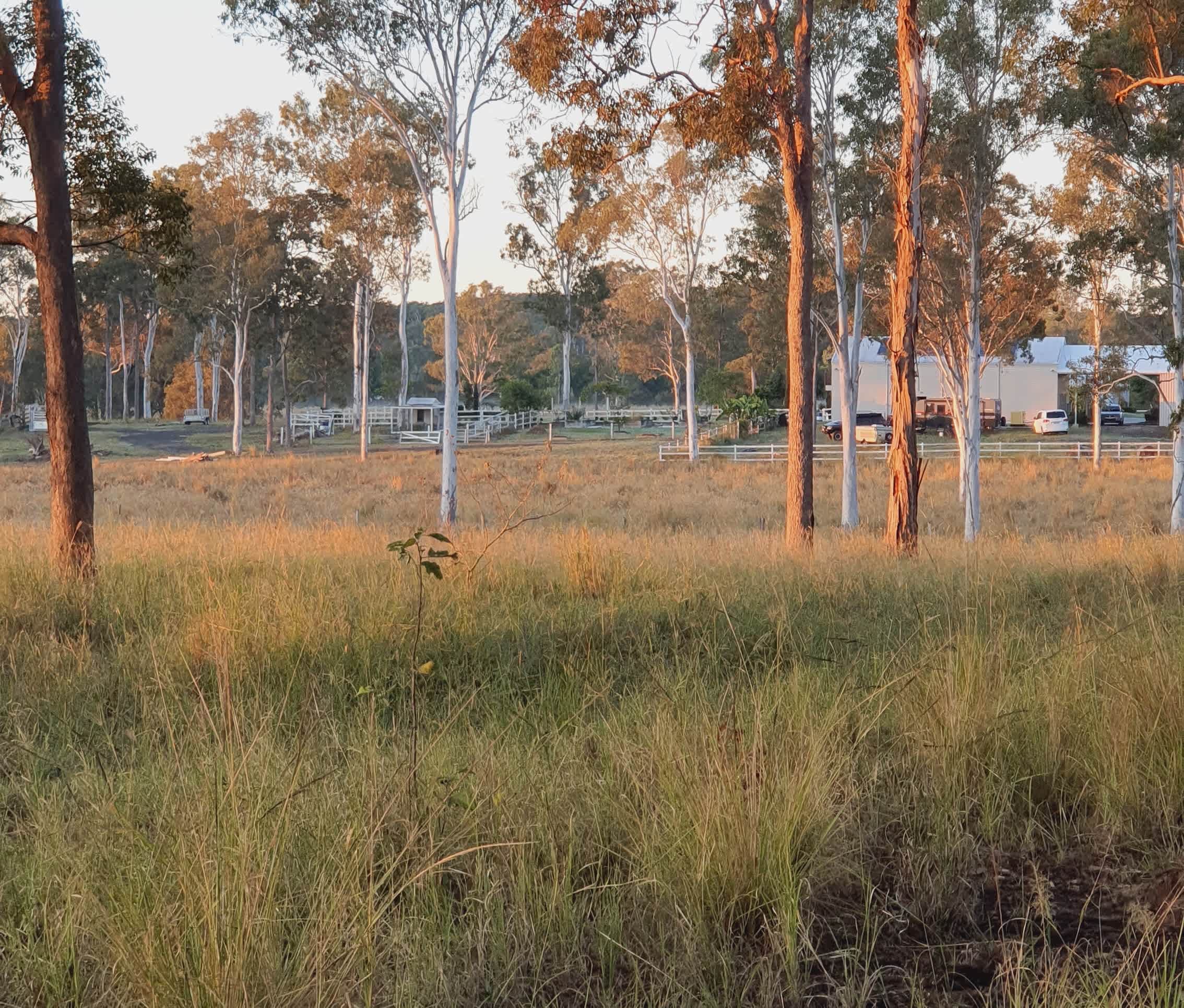 UNAVALABLE Cattle Farm at Coondoo - Hipcamp in Kin Kin, Queensland