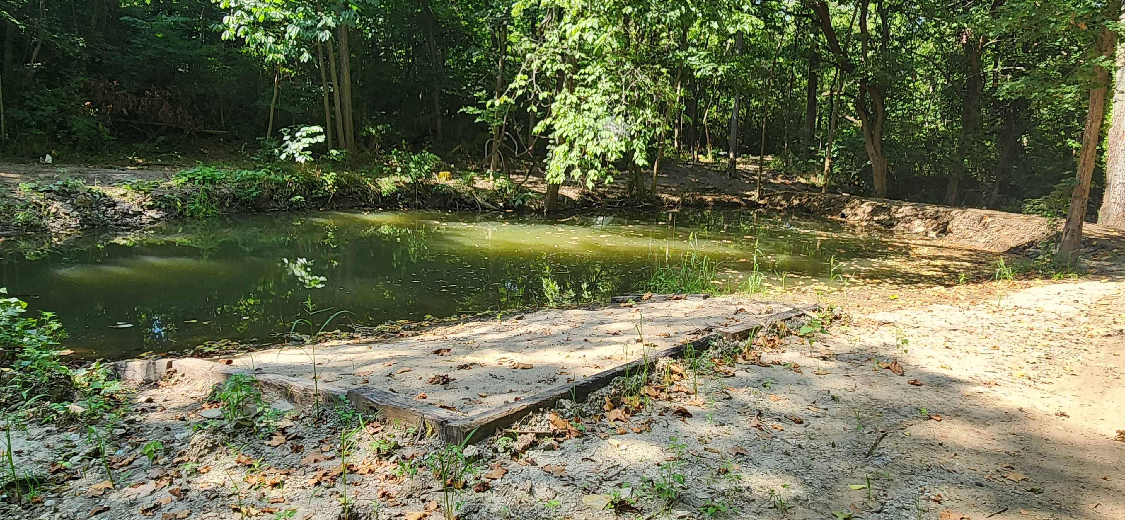 Owl Creek Cabins