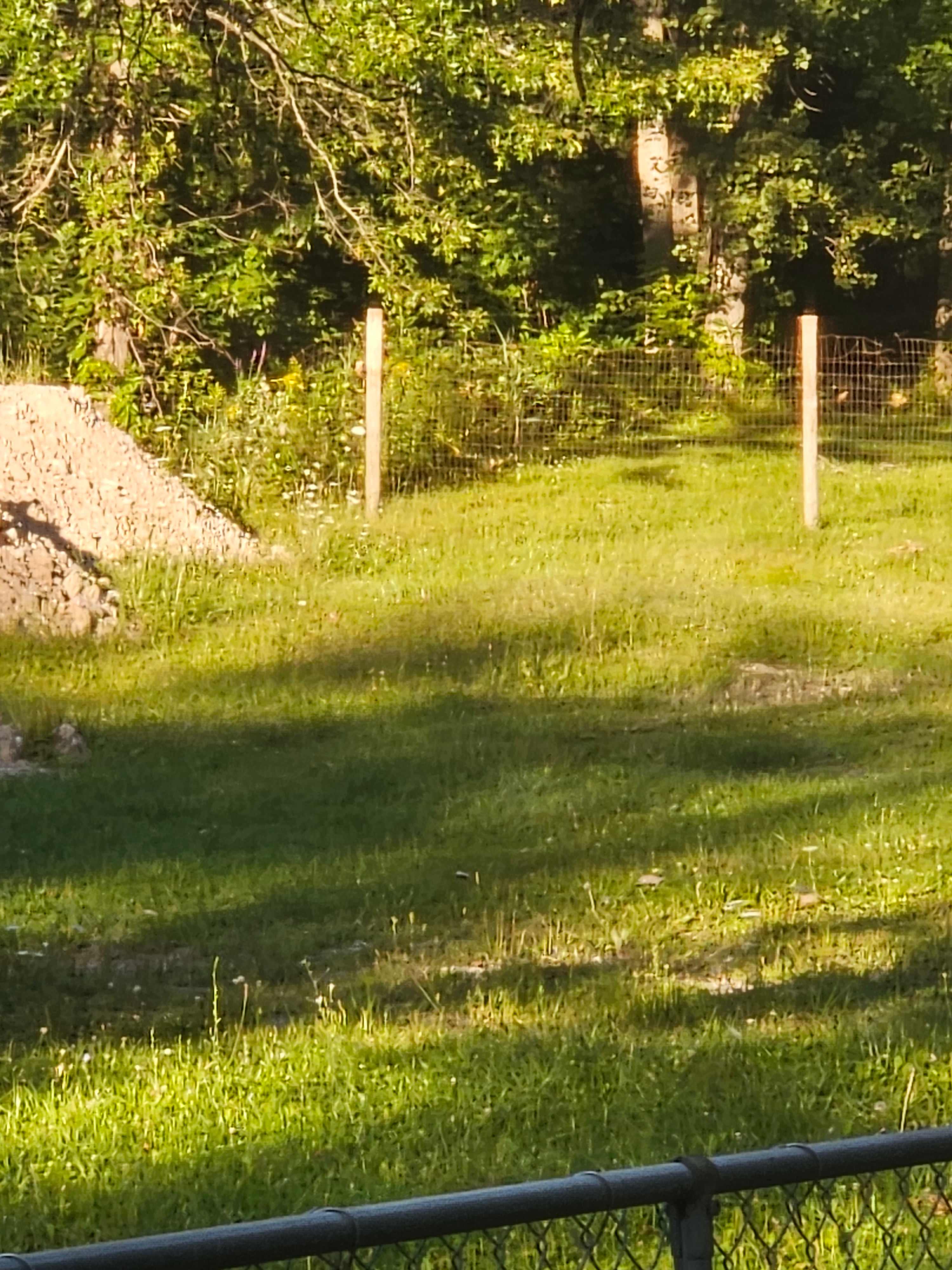 Camp CrossWind