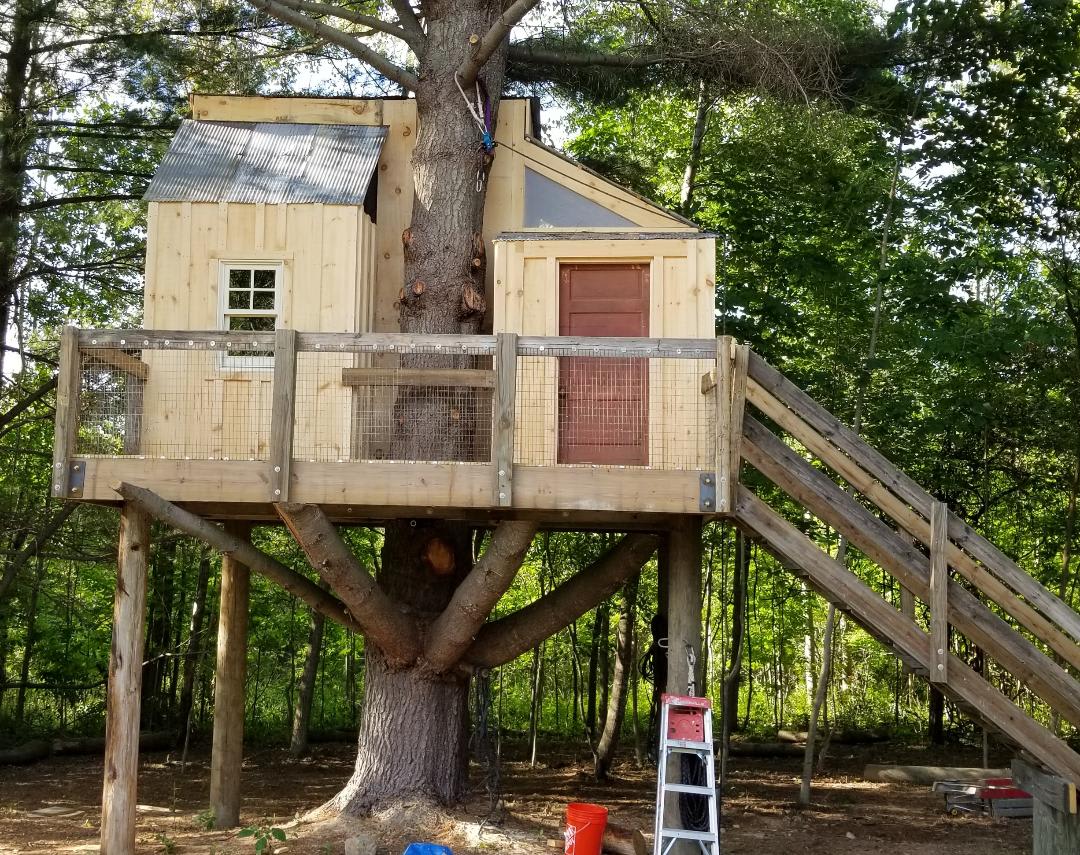 Camp Bear Paw
