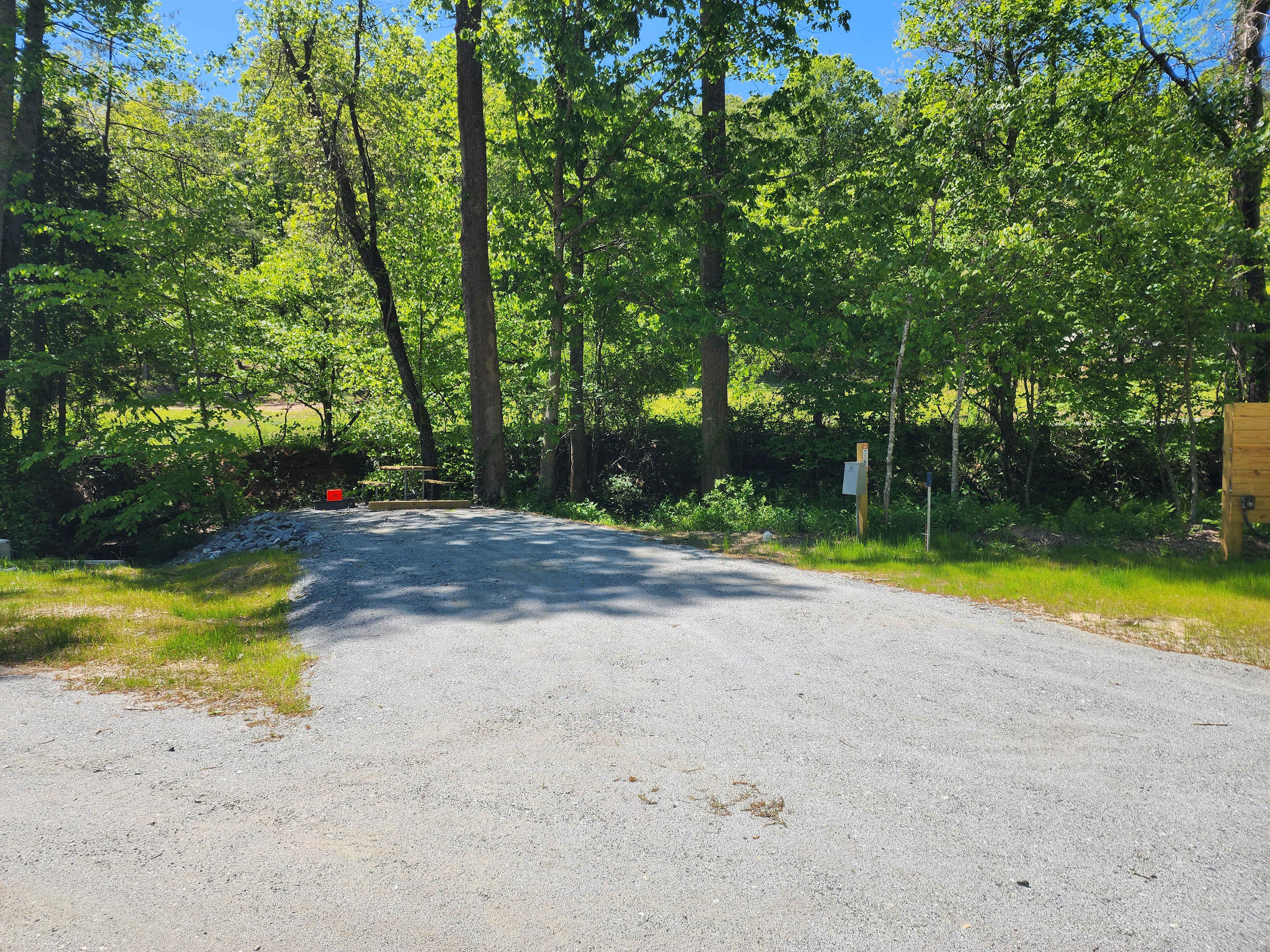 Picture of the site