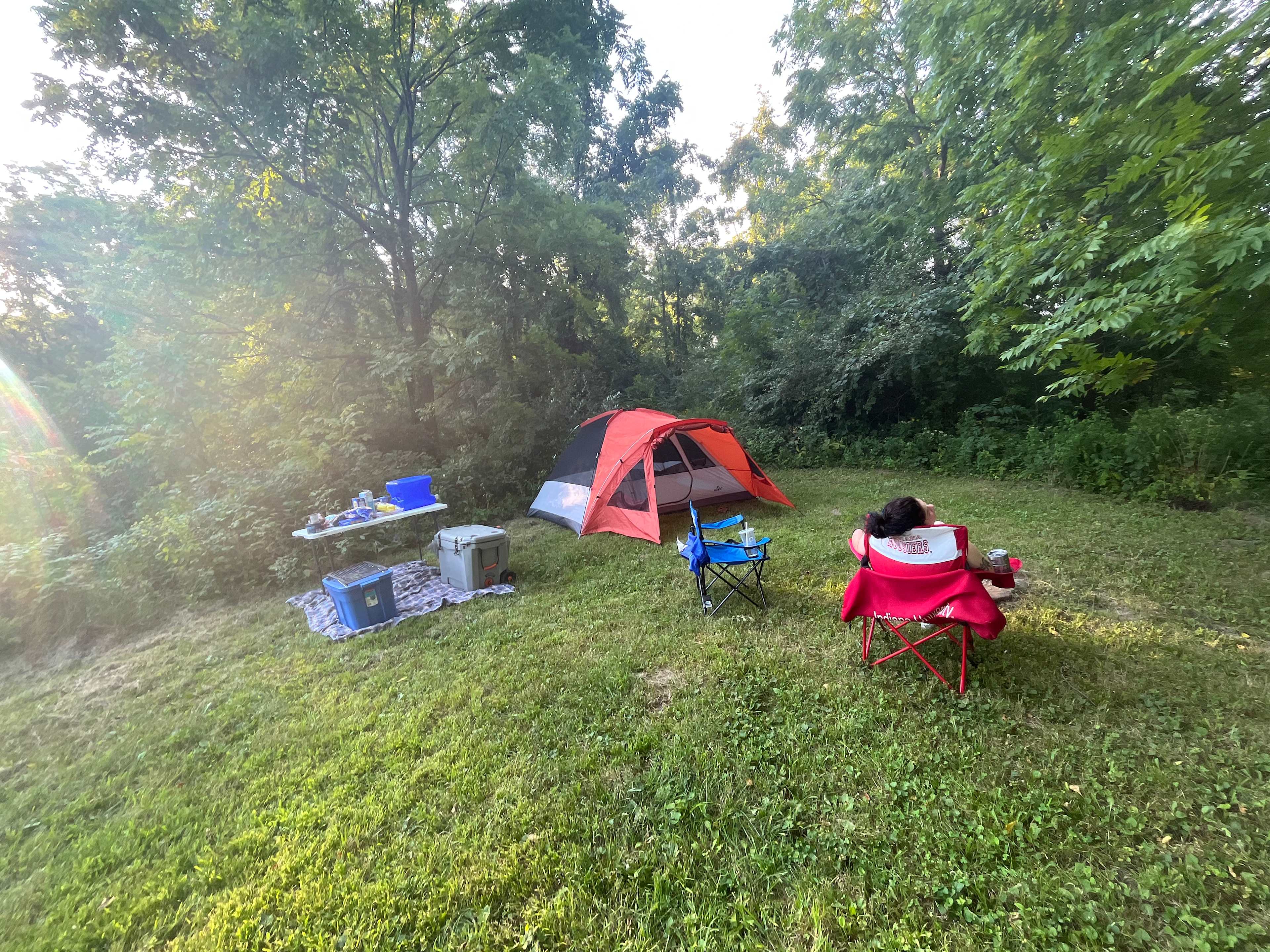 Picture of the site