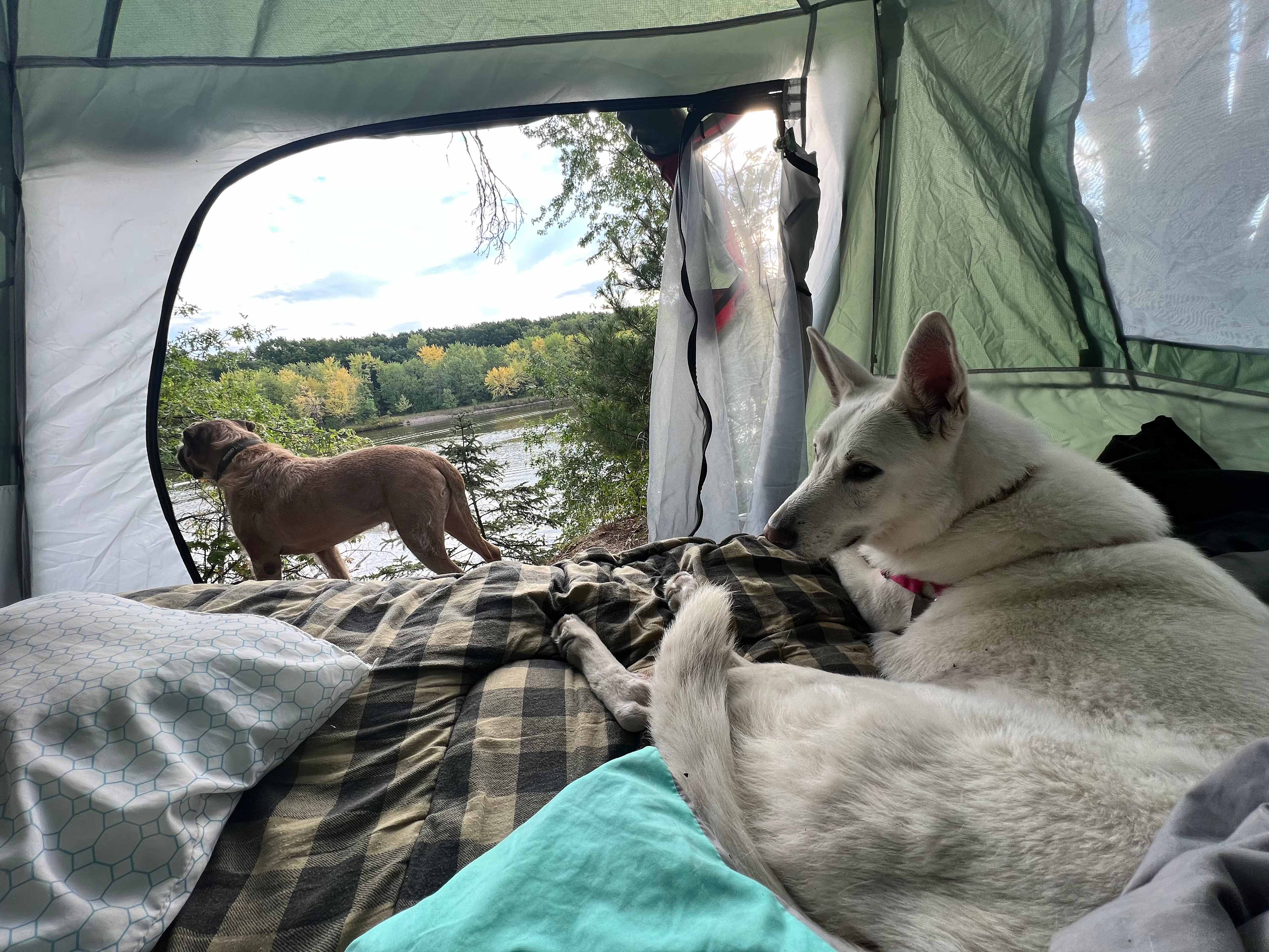 McCoy's River Retreat