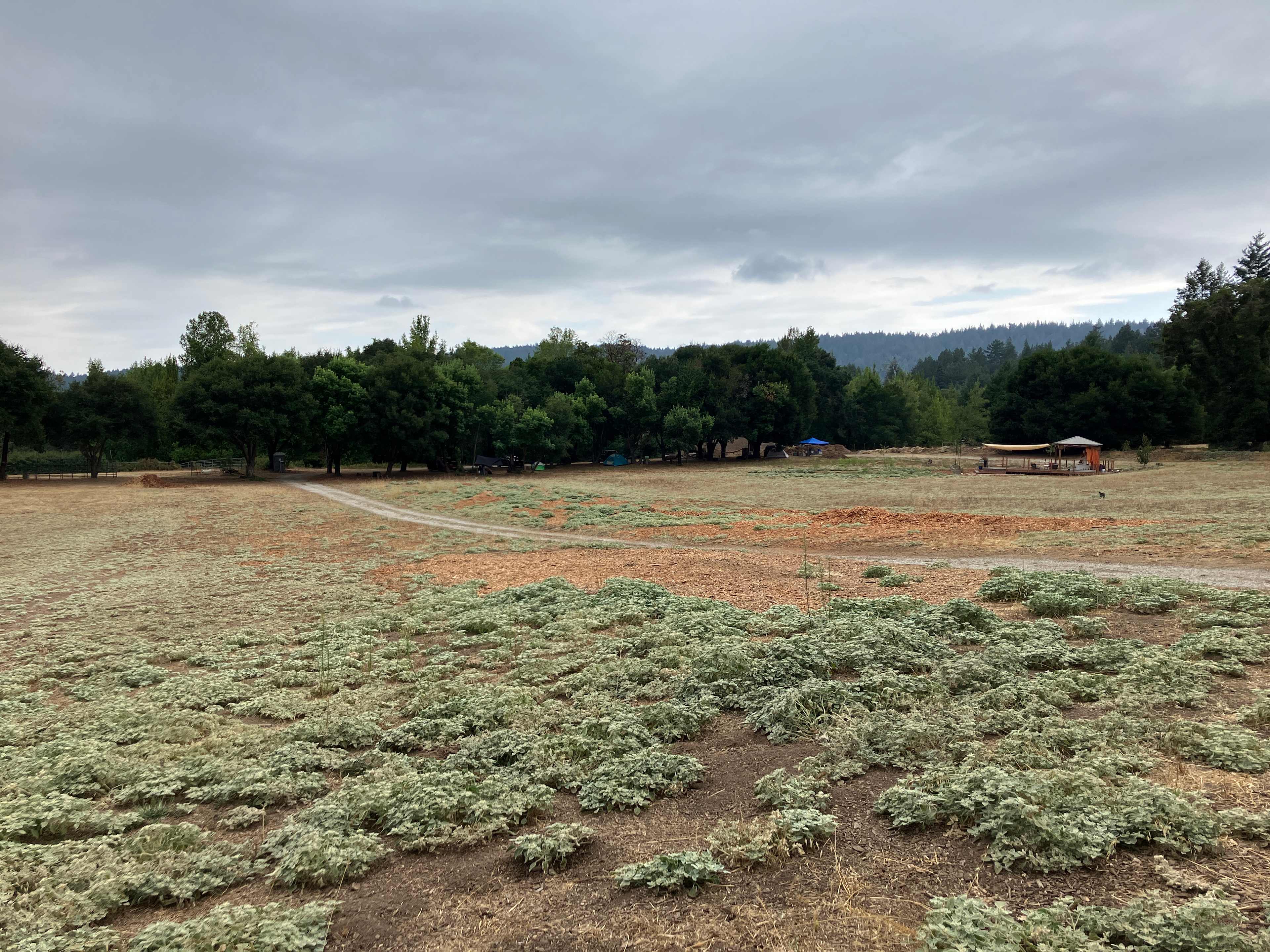 Picture of the site