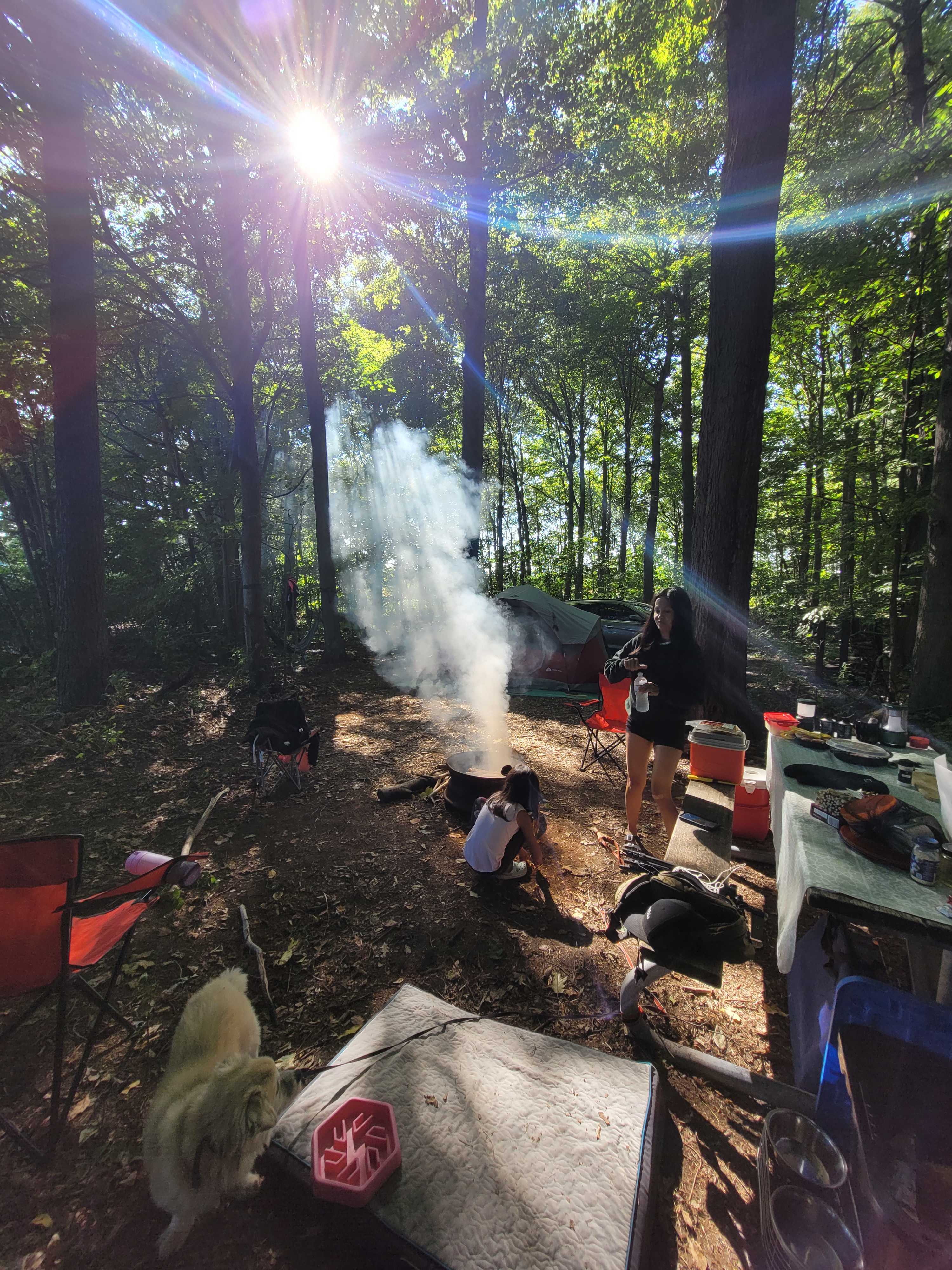 Picture of the site