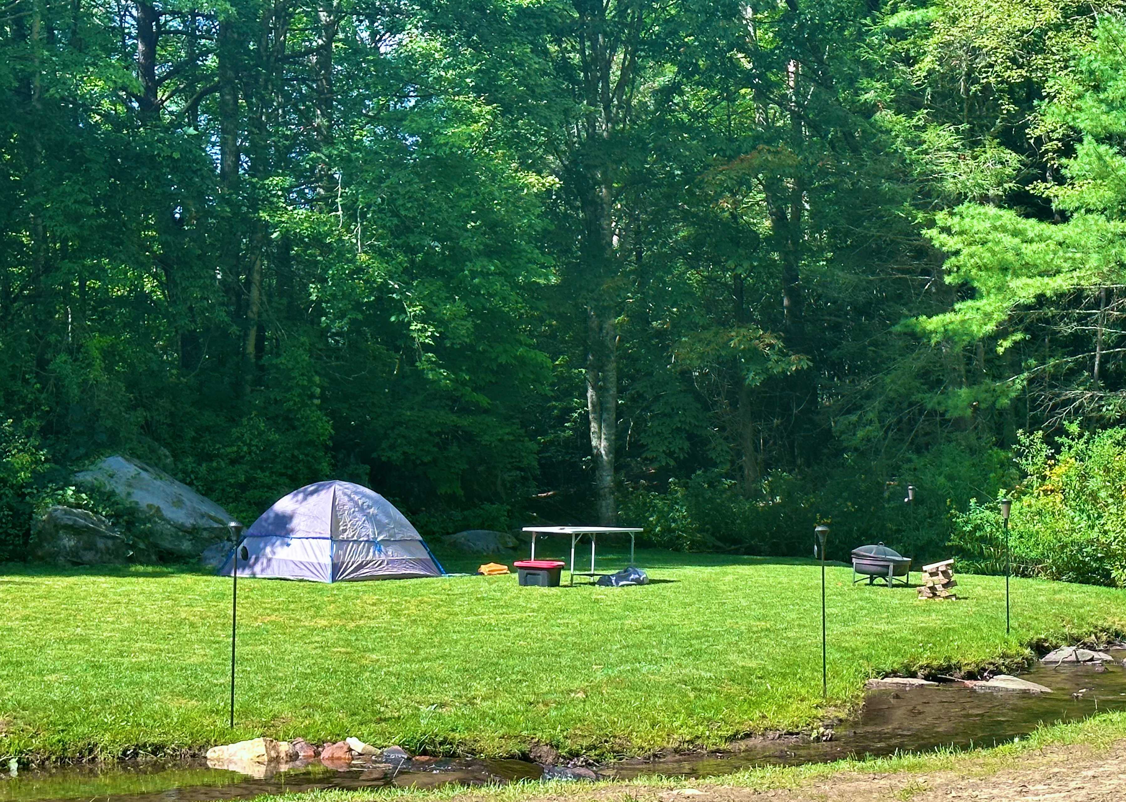 Picture of the site