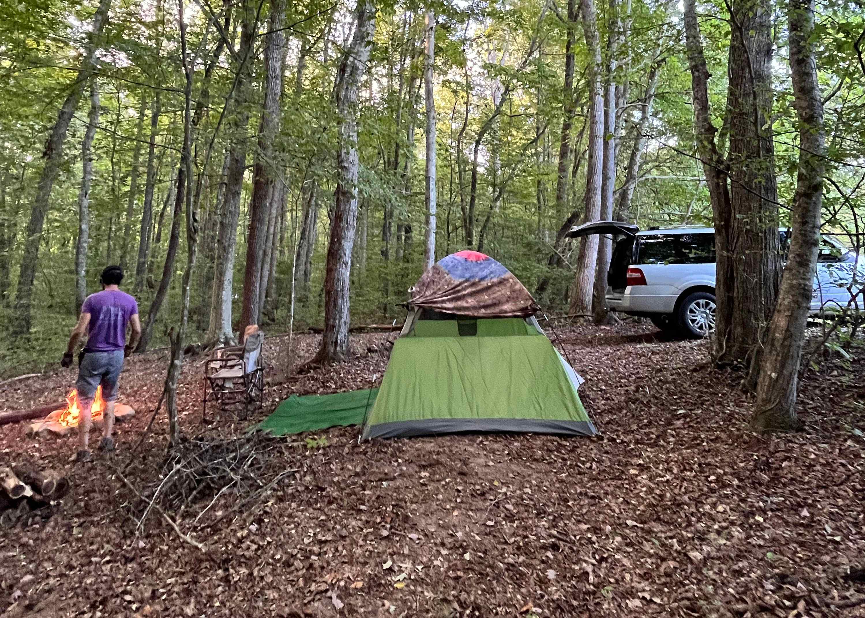 Picture of the site