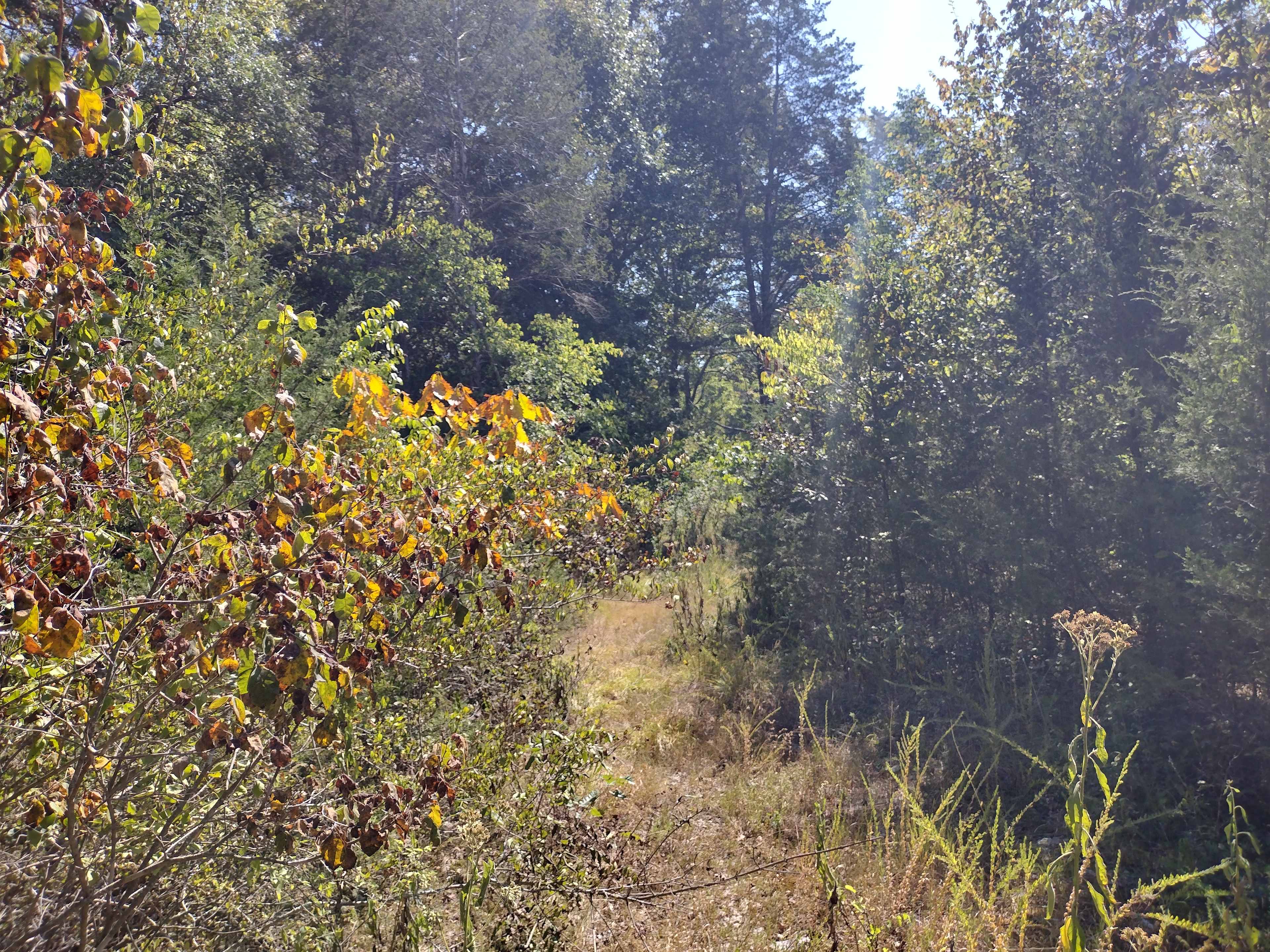 Priest Lake Property