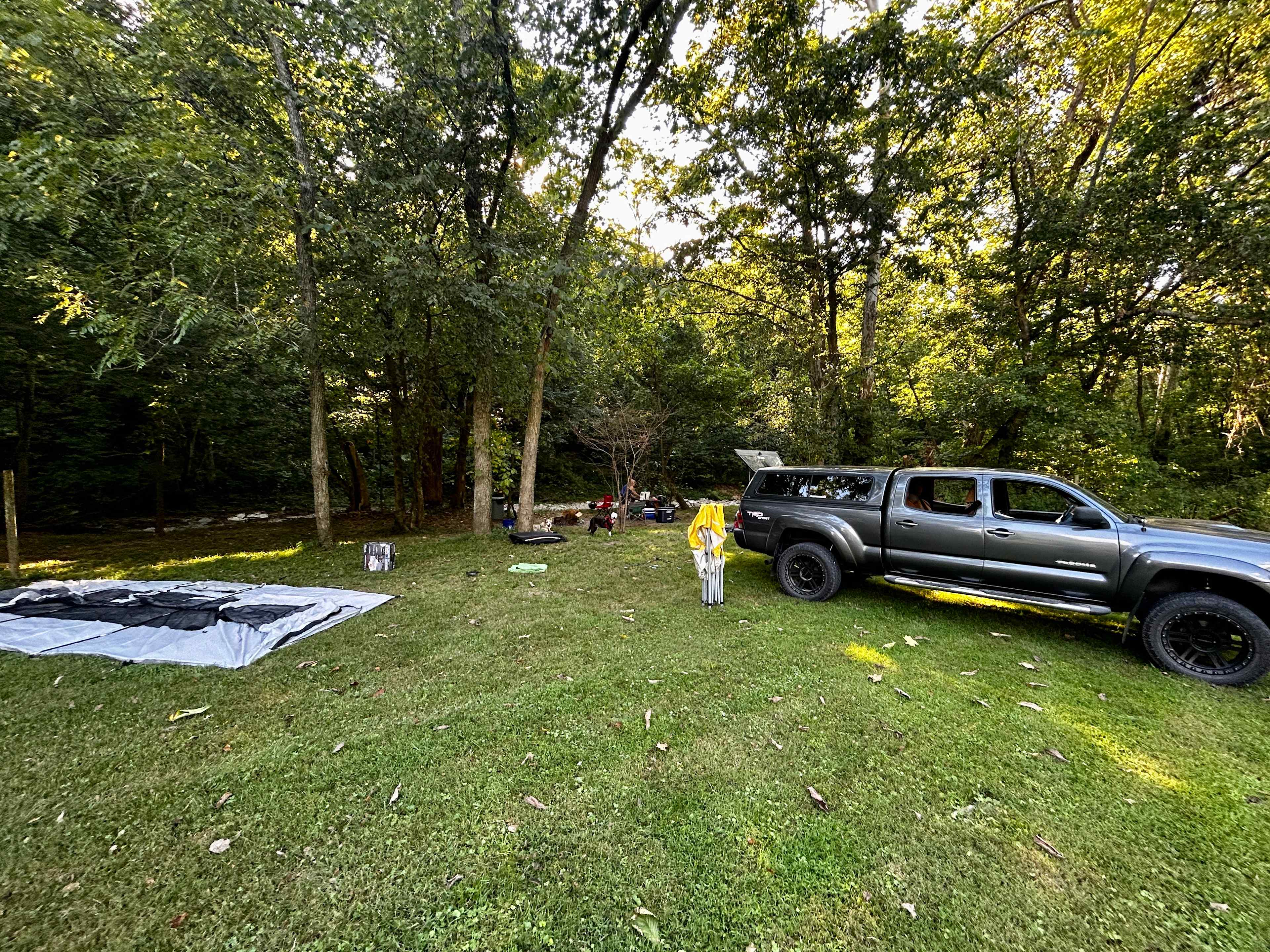 Picture of the site