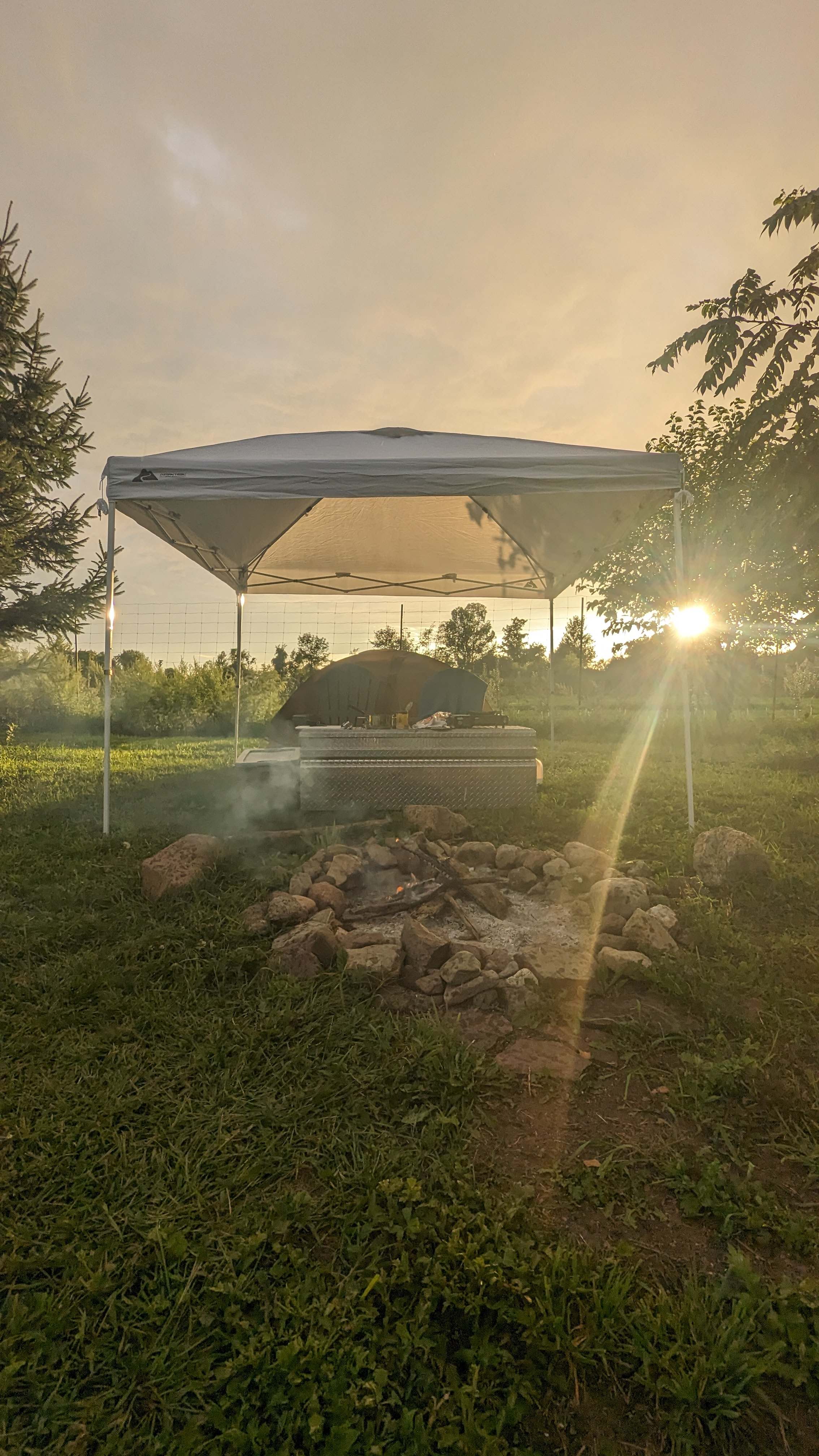 Picture of the site