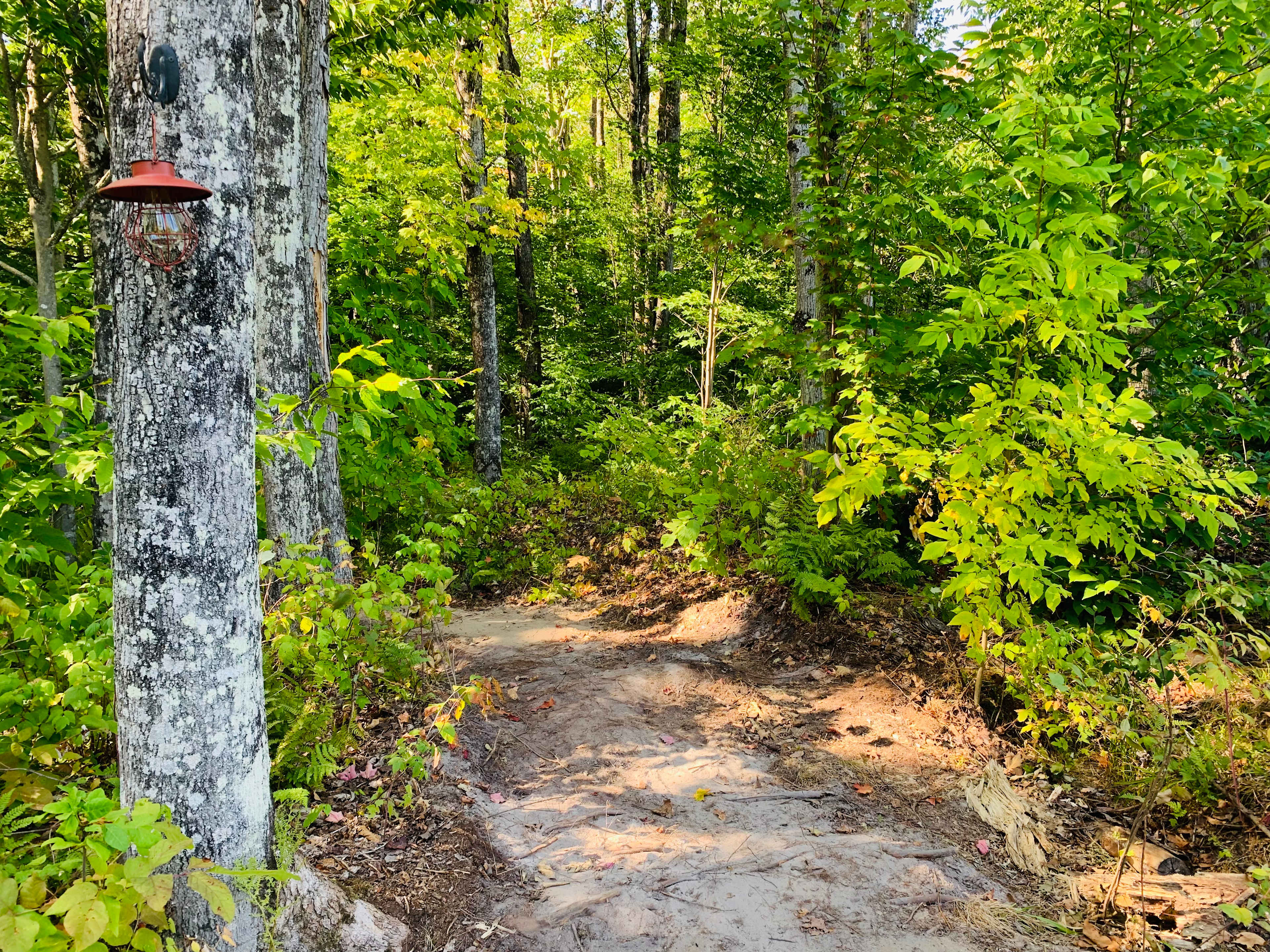 Turning onto the walking path into camp, there is a solar light. 