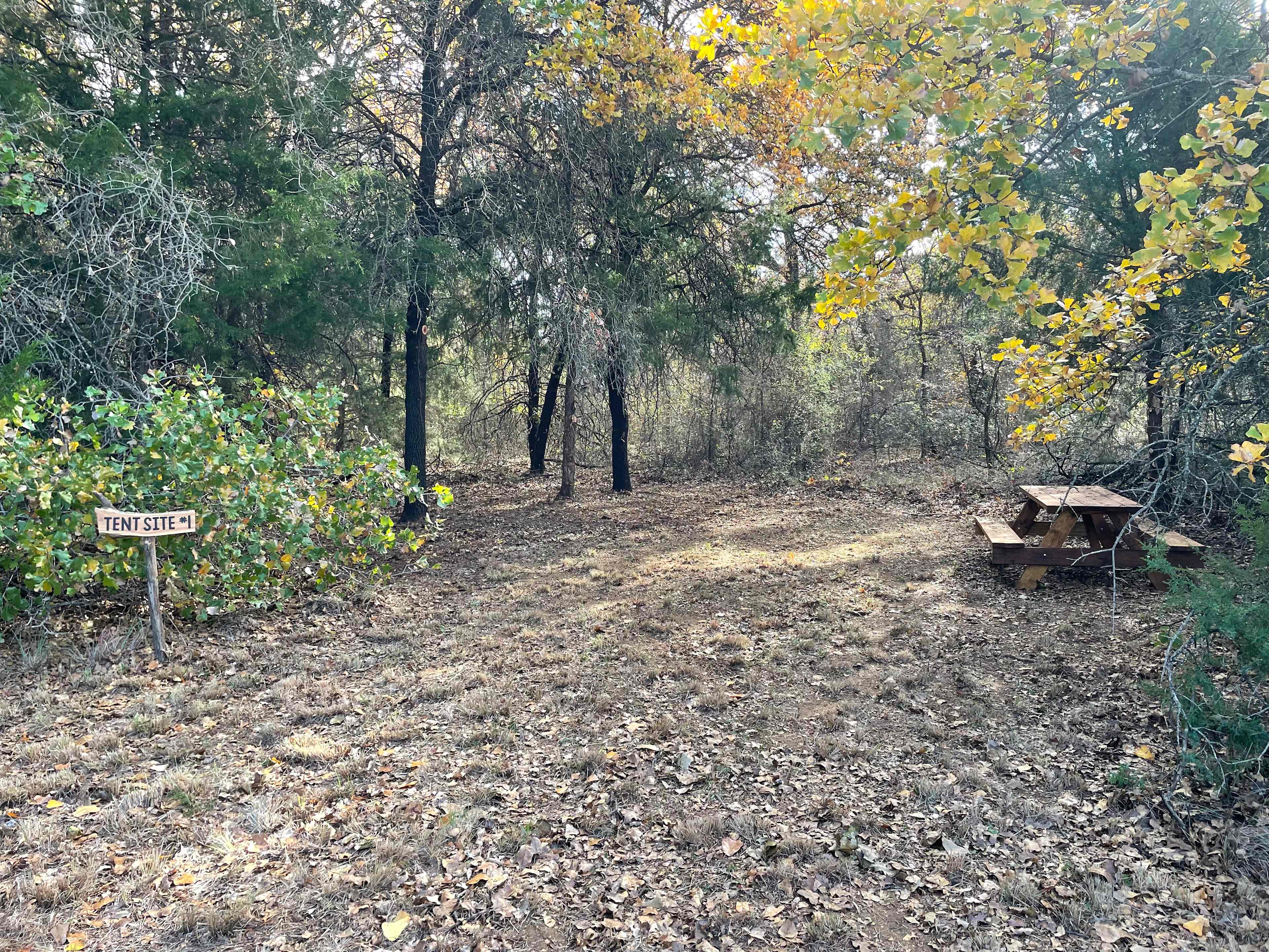 Picture of the site