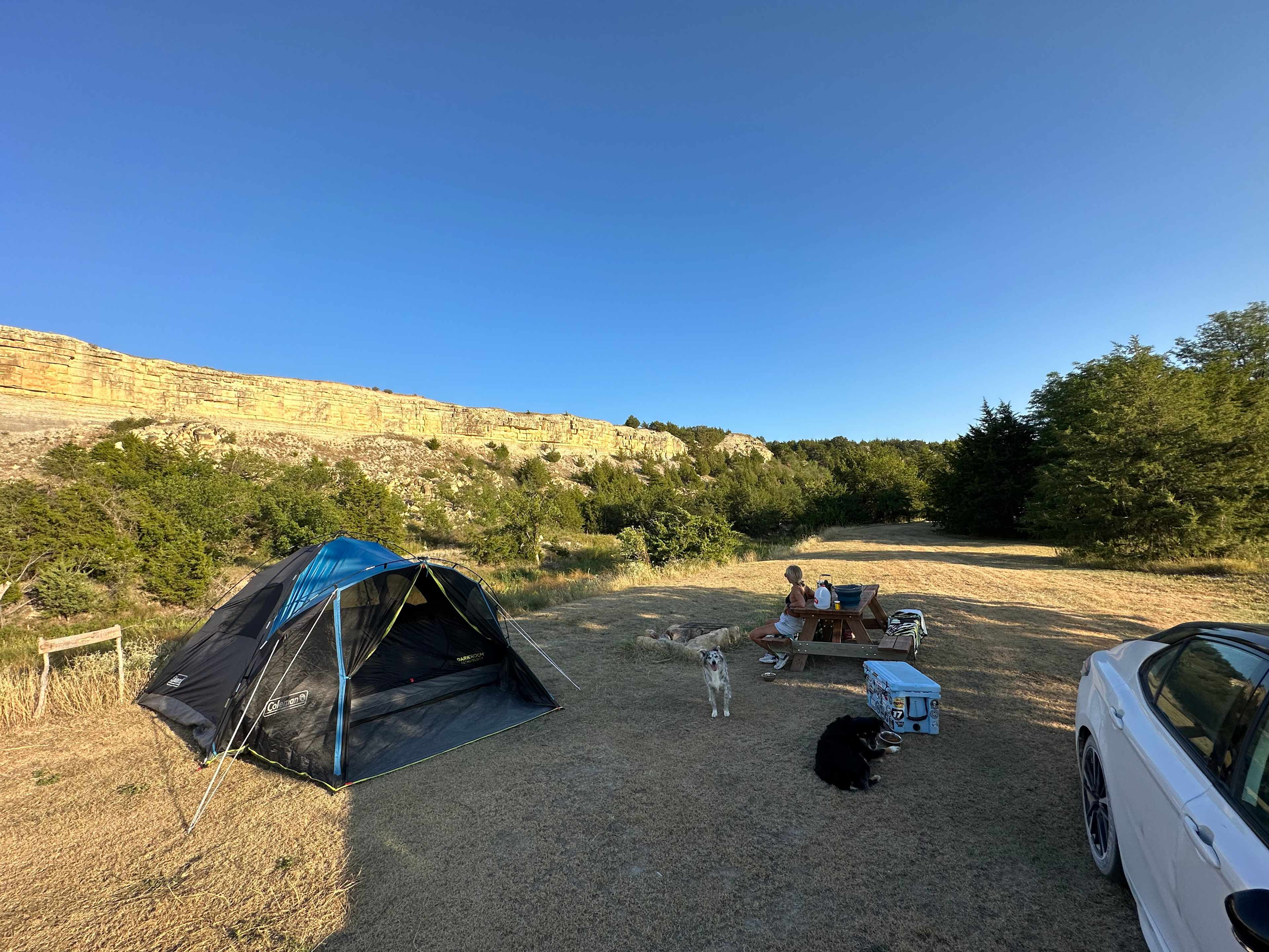 Picture of the site