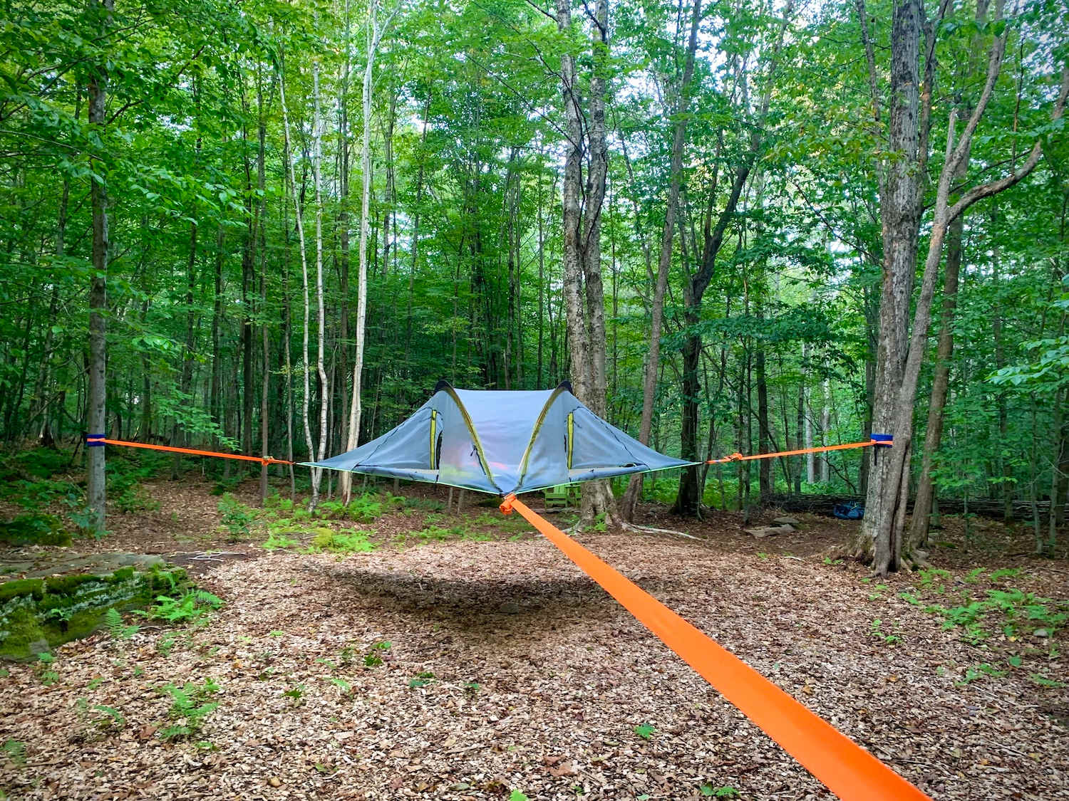 Tree Tent