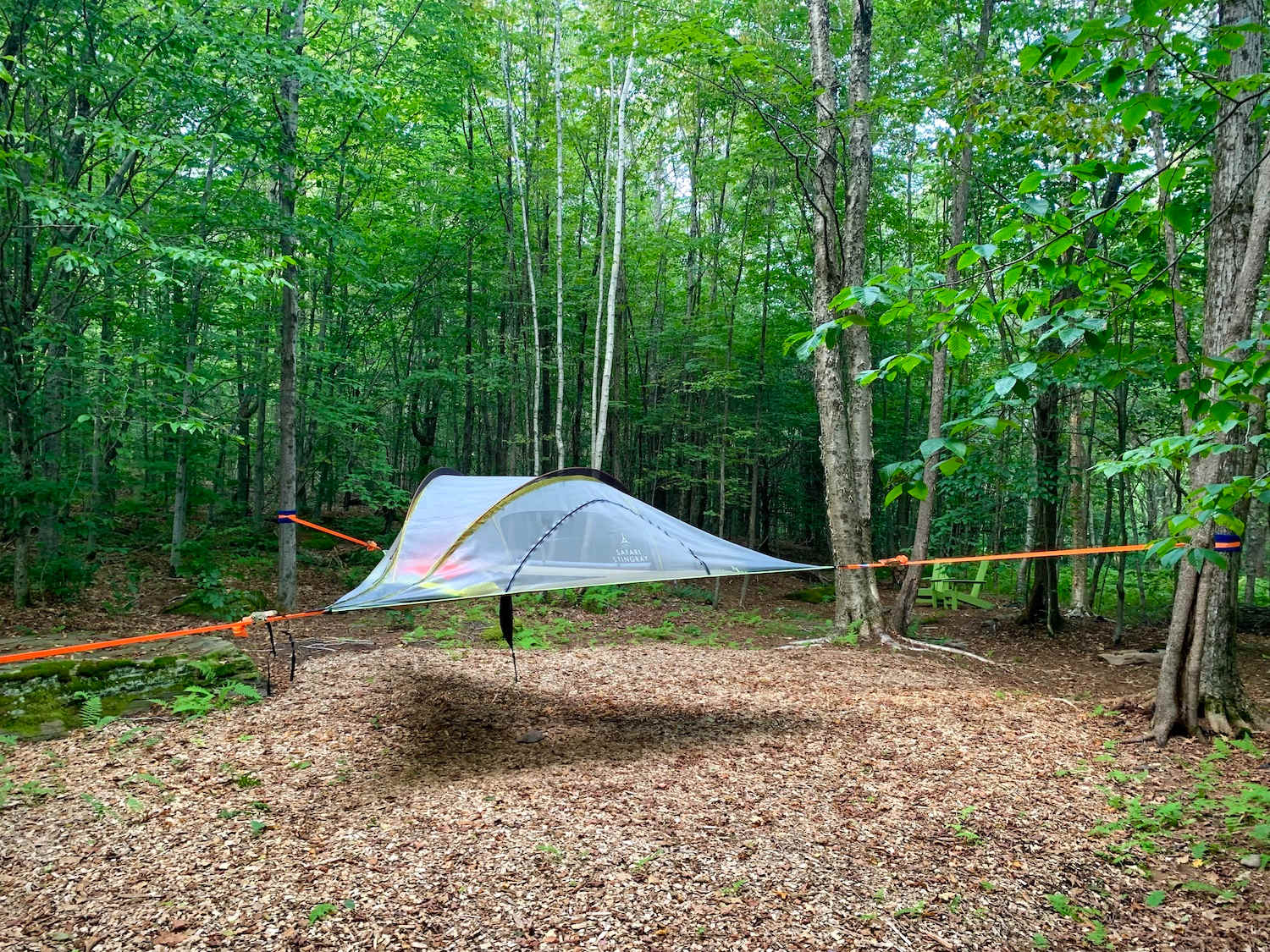 Your Tree Tent!
