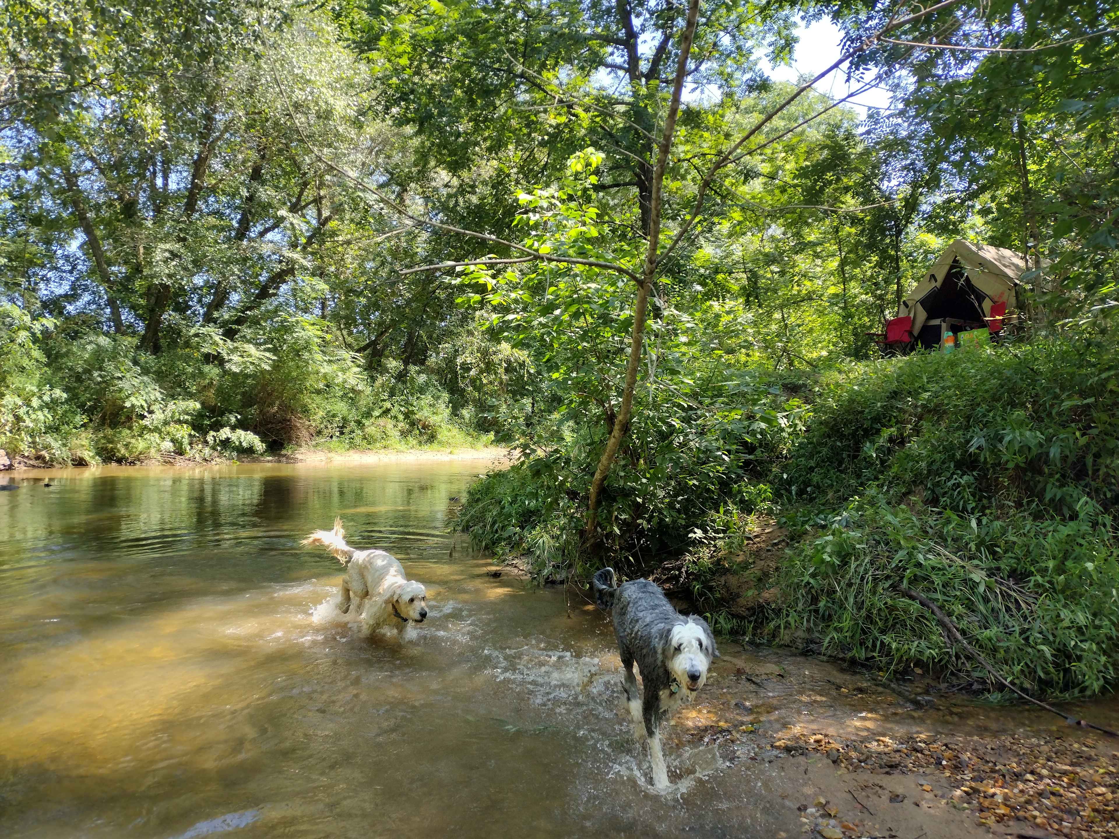 West Preserve