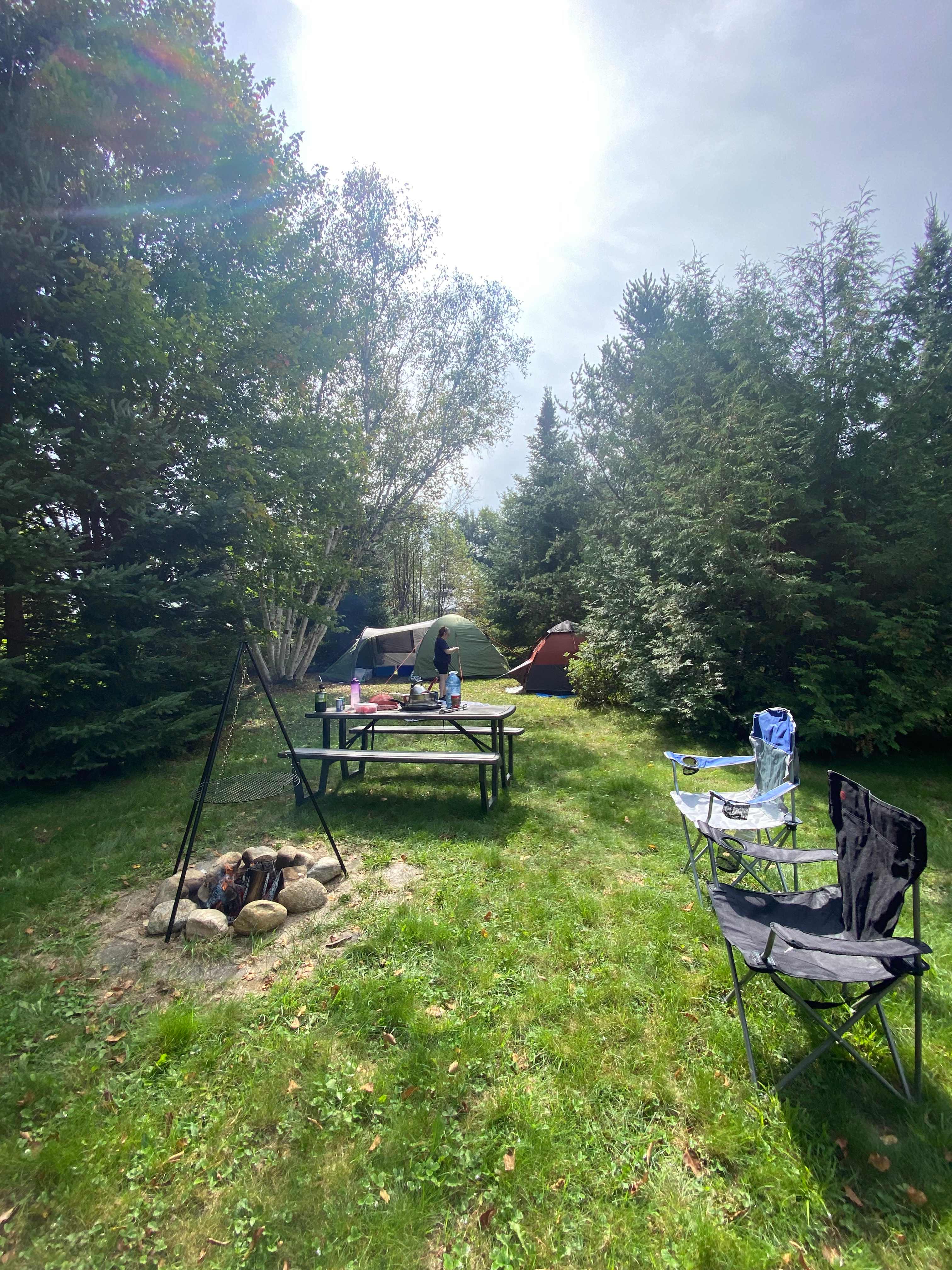 Picture of the site