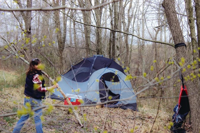 Picture of the site