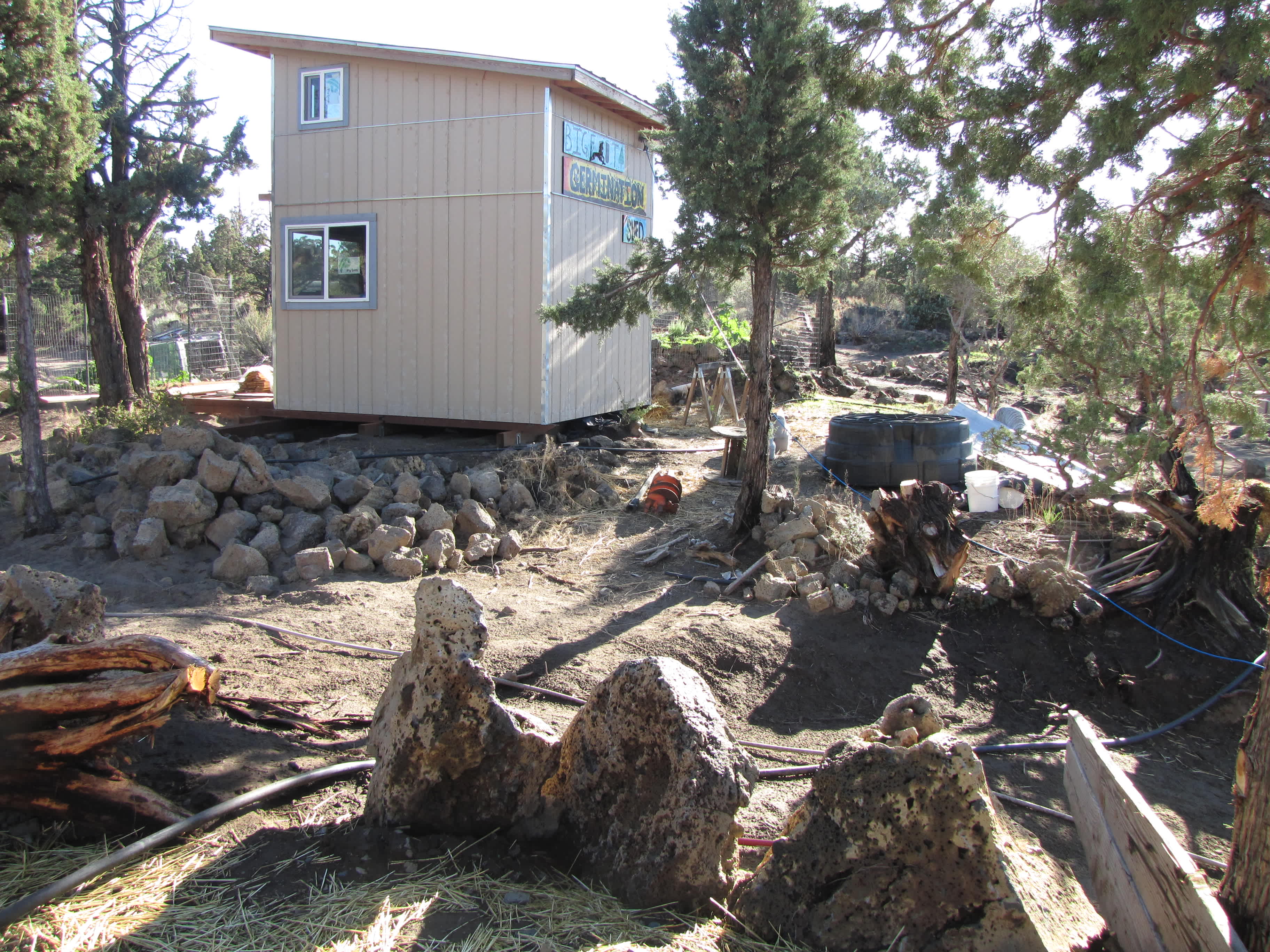 Picture of the site