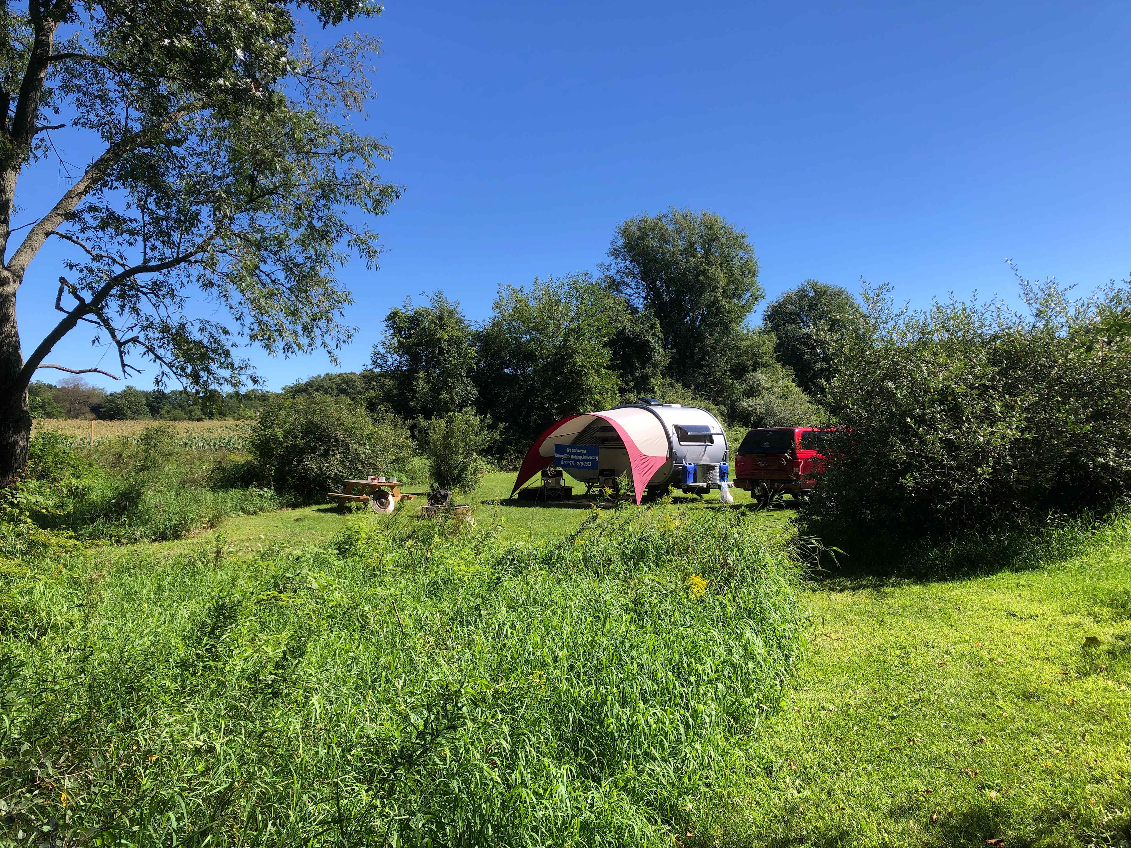 Picture of the site