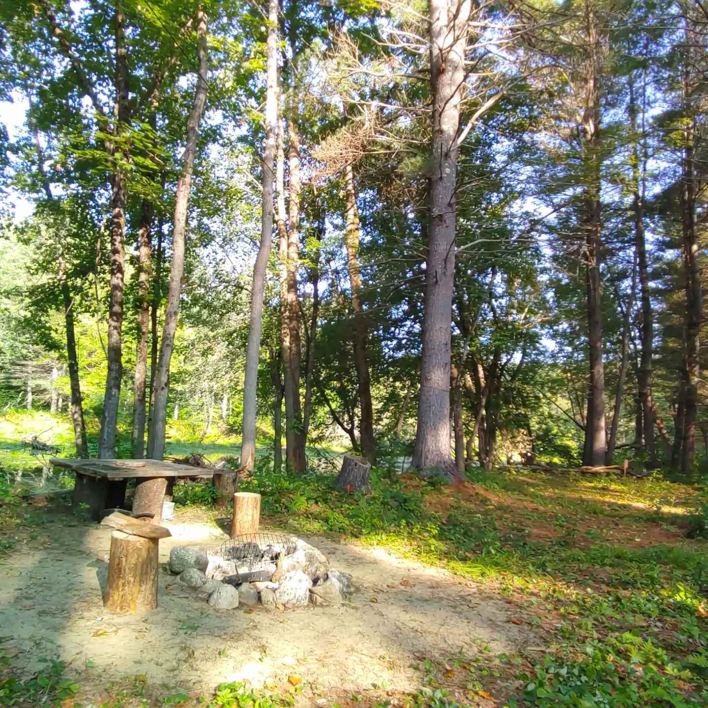 Campsite 1 is on the horse shoe pond. Quiet, away from people . This is an excellent place to turn up the music and get grounded