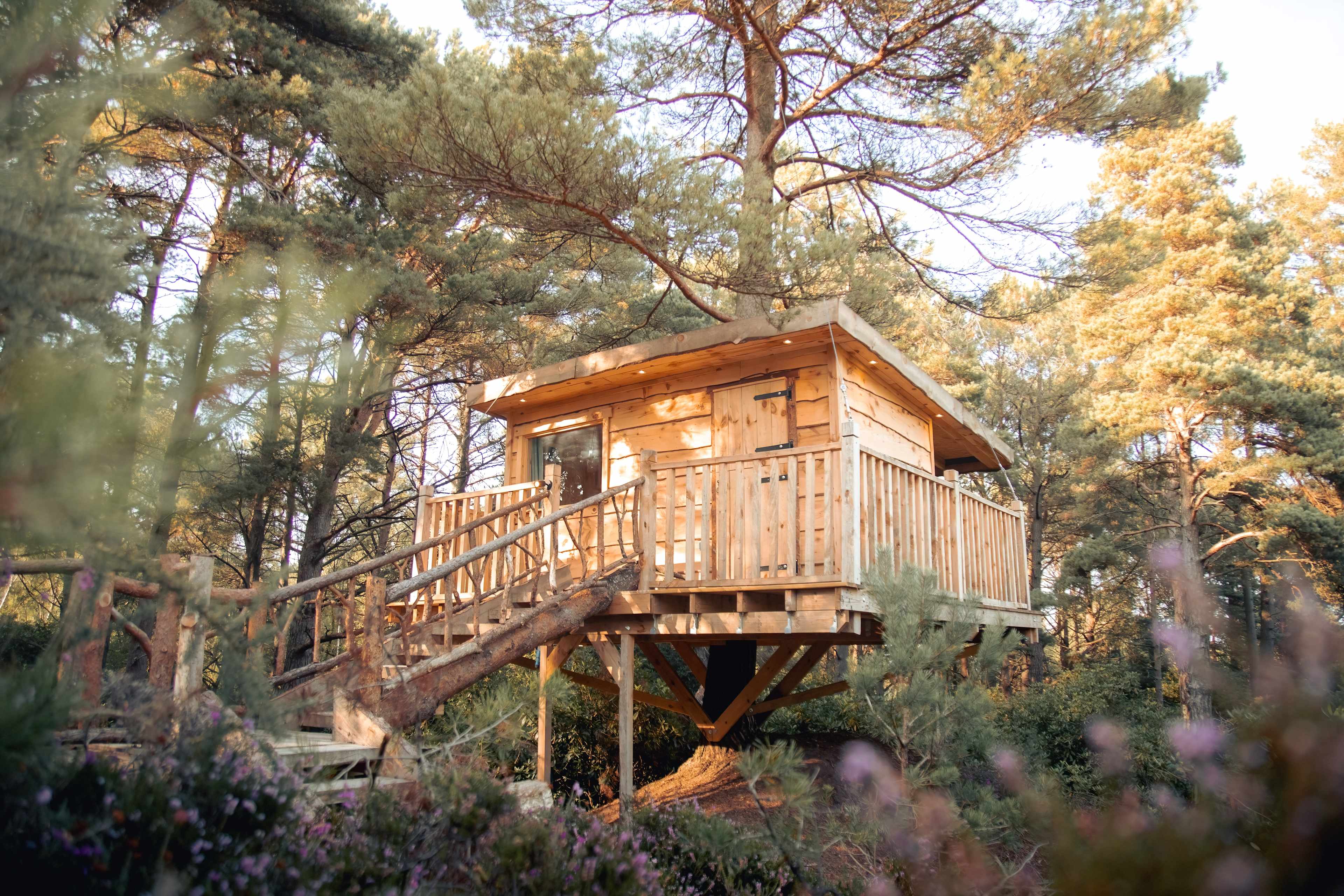 A great spot to unwind with friends and loved ones. Our treehouse was in a tucked away part of Bluepool where we had plenty of space and lovely scenery all around.