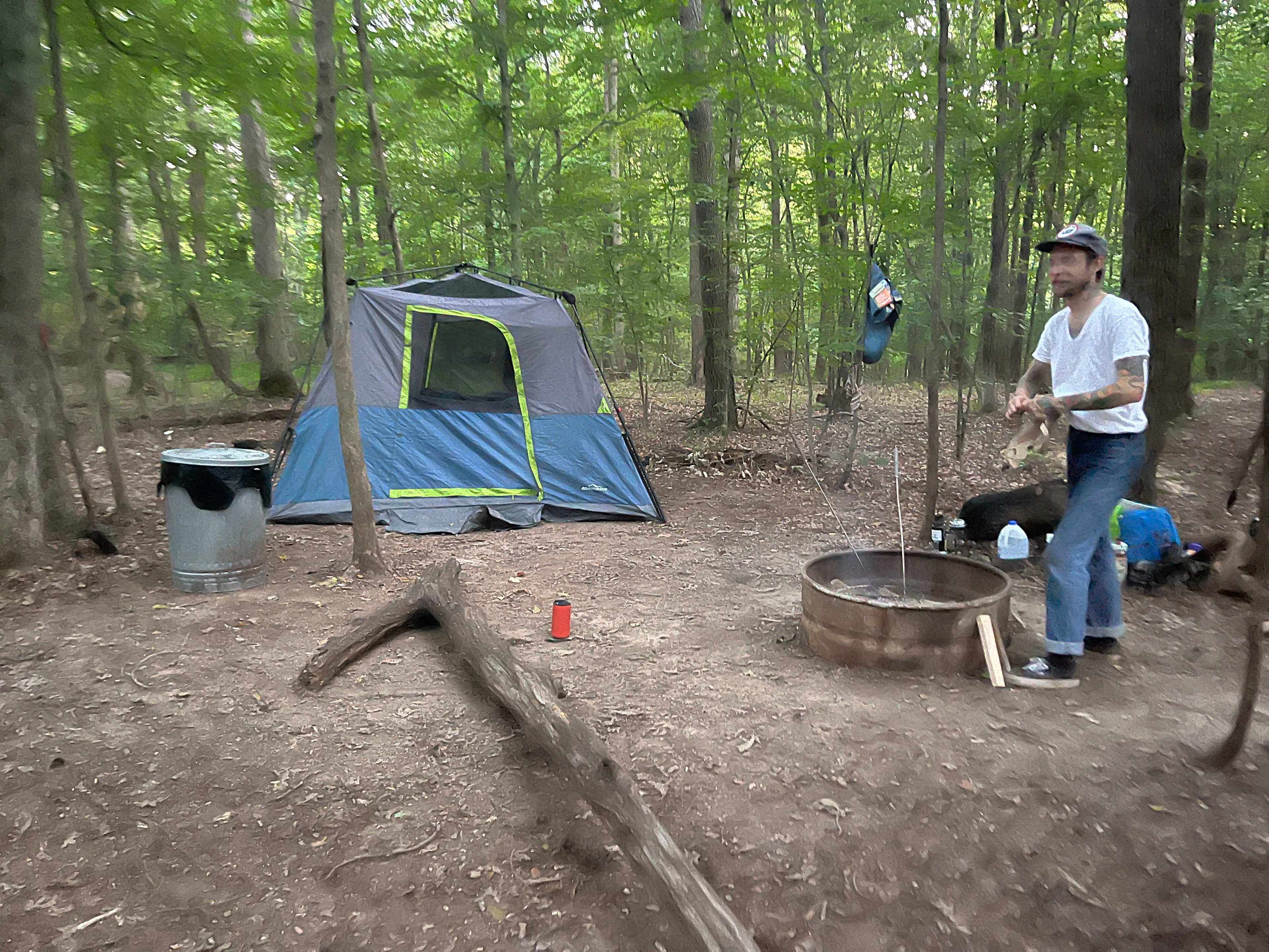 Picture of the site