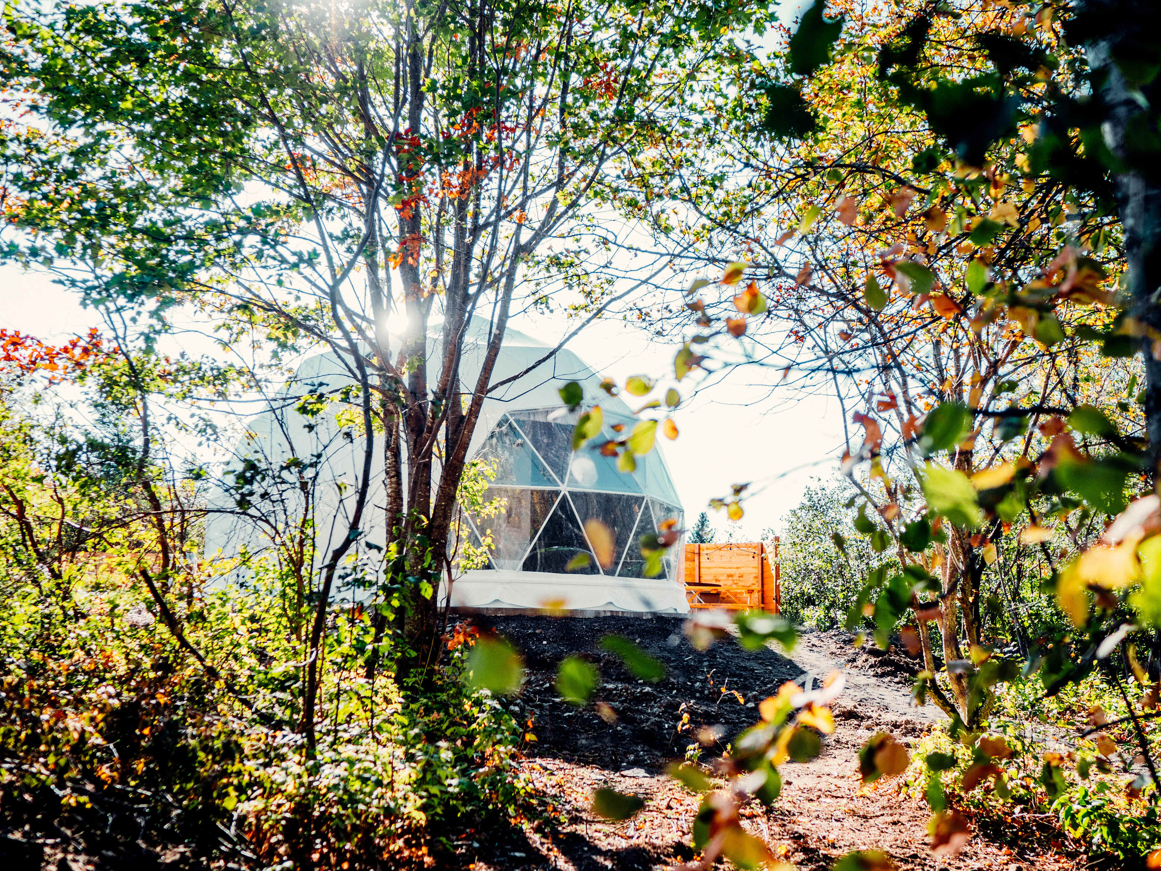 Creekside RnR Glamping