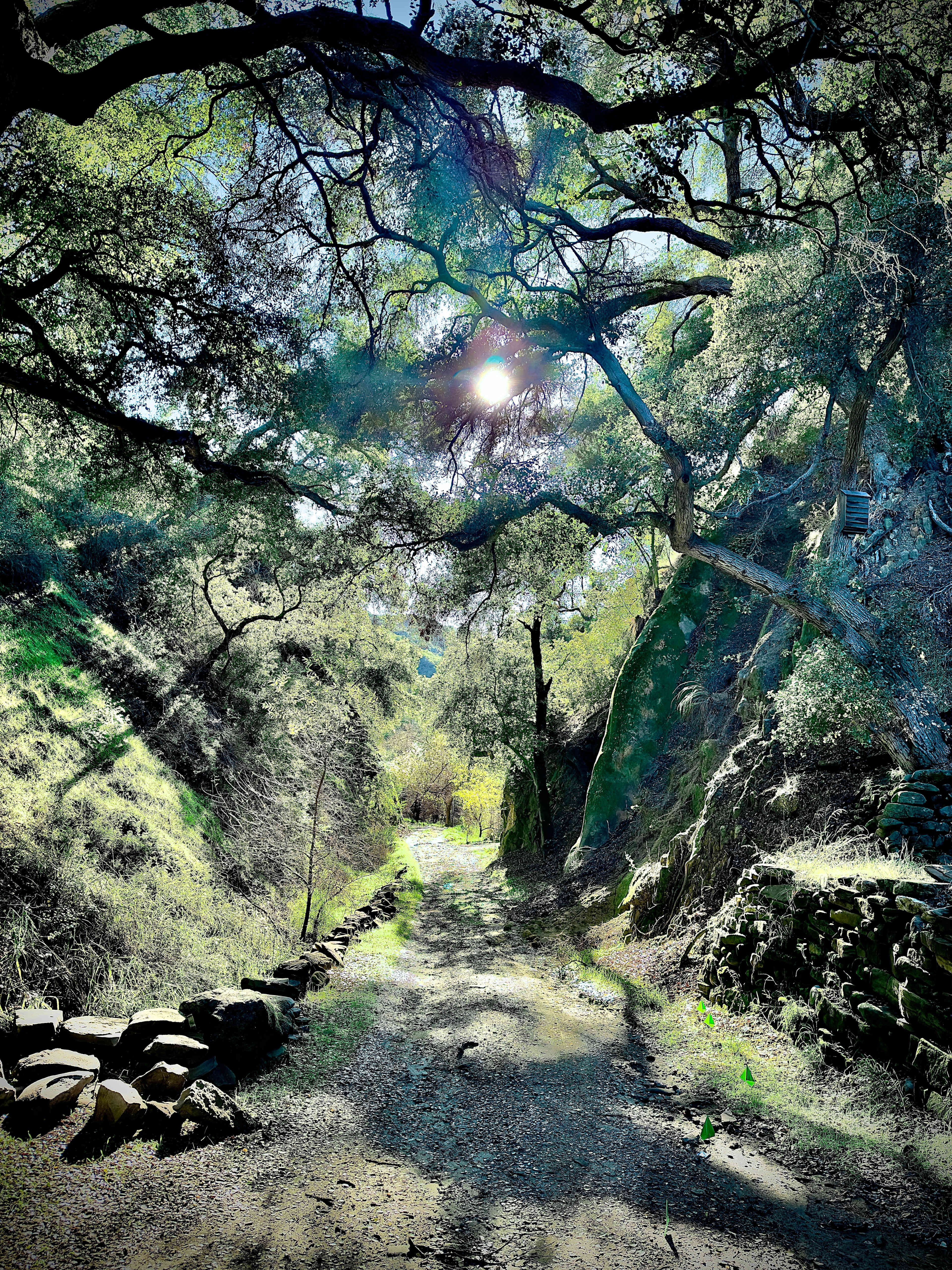 Malibu Creek Orchard Retreat